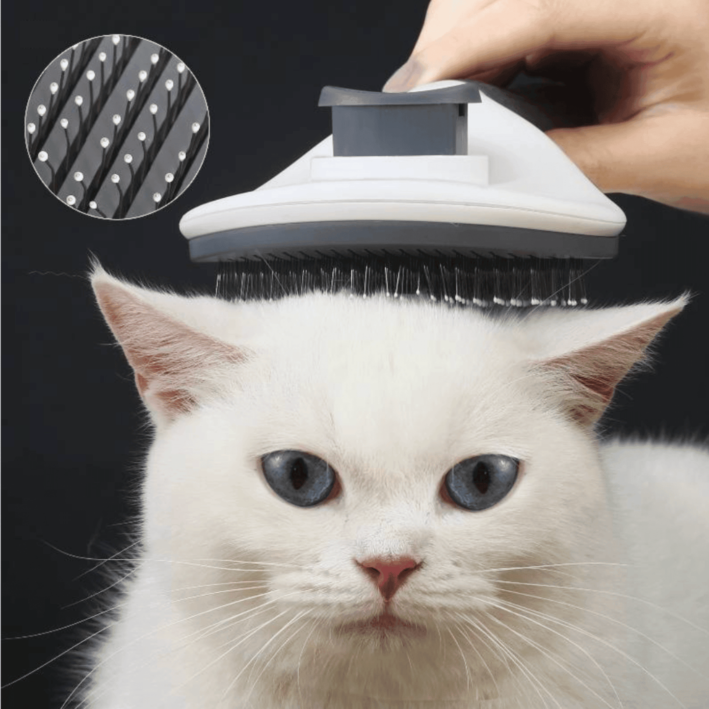 Brosse auto-nettoyante pour chat | PetBrusher™ - MyPetsHub
