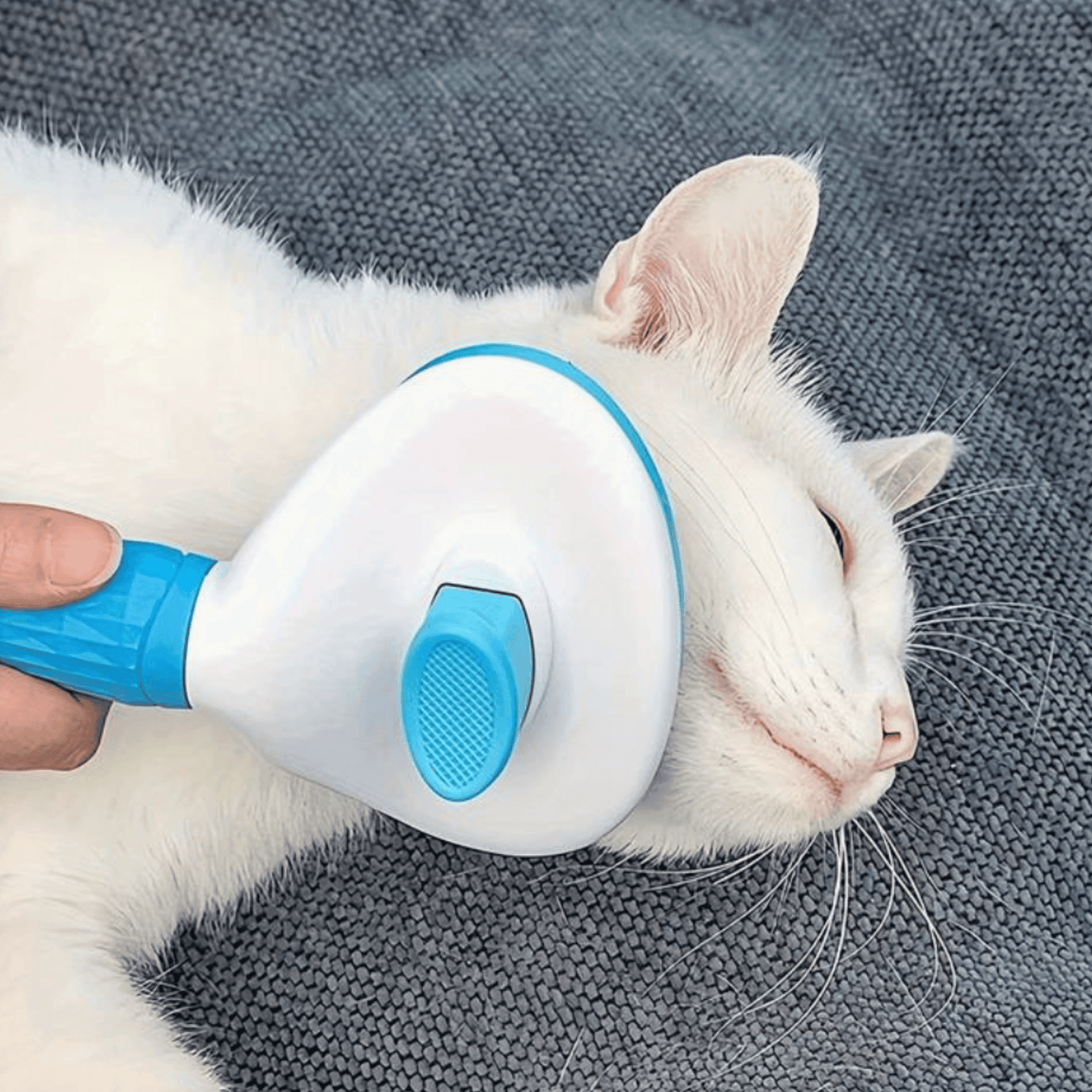 Brosse auto-nettoyante pour chat | PetBrusher™ - MyPetsHub