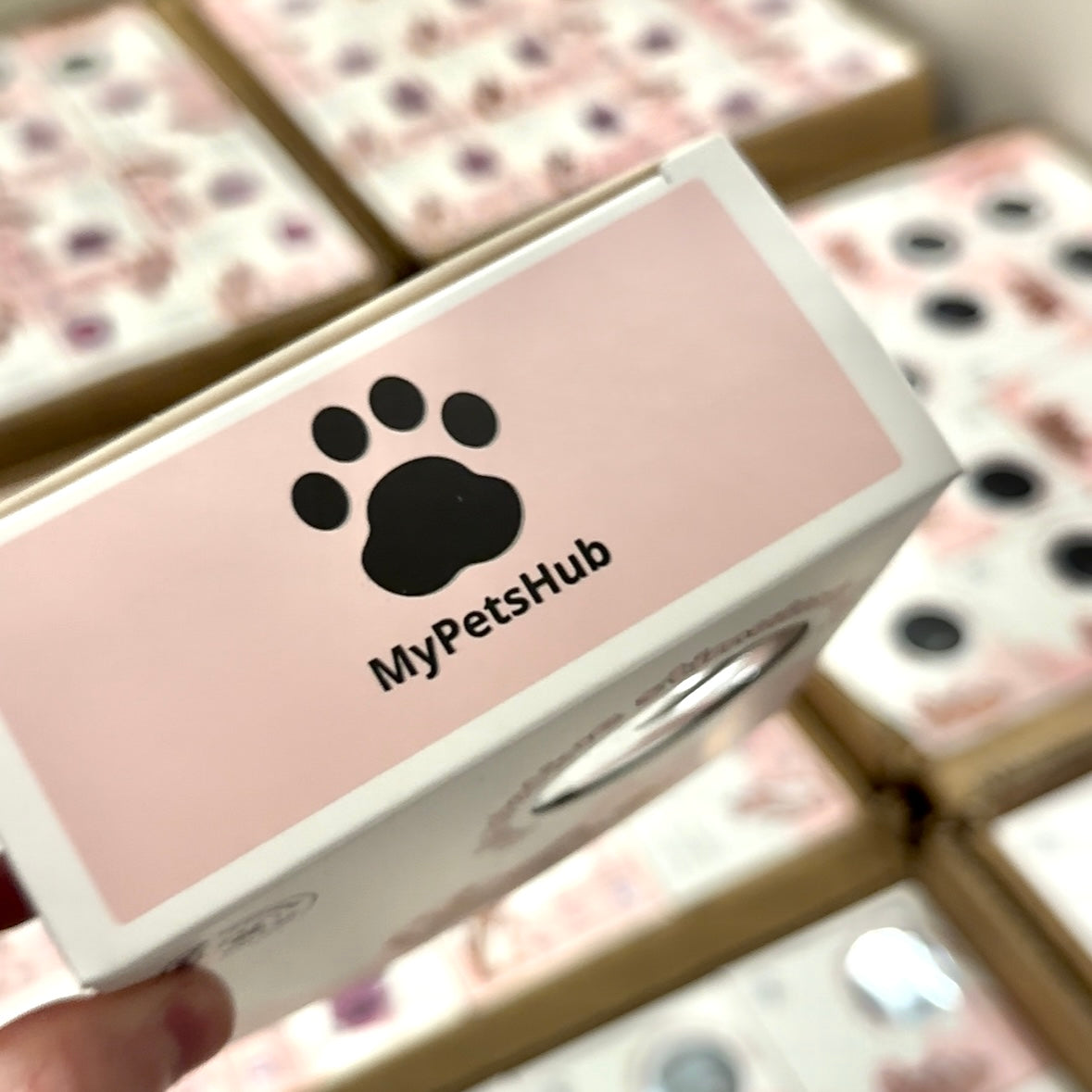 Jouet de chasse stimulant pour chat - MyPetsHub