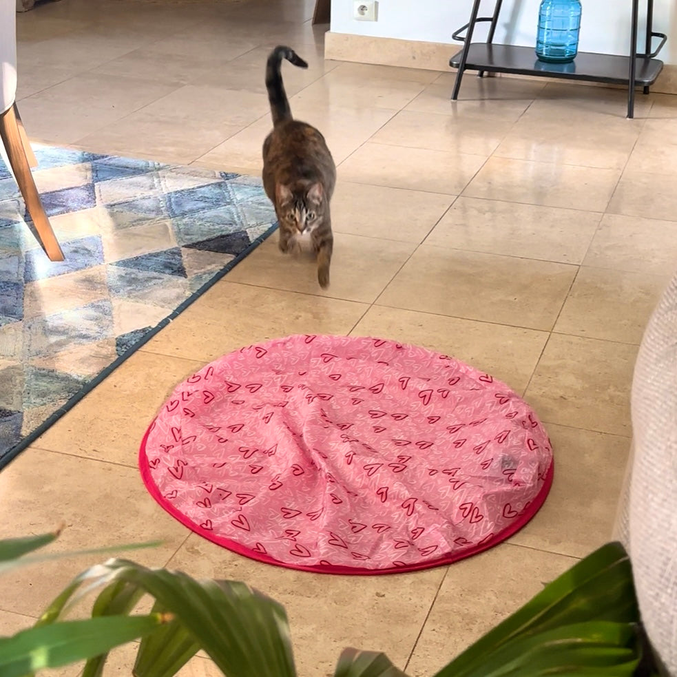 Jouet de chasse stimulant pour chat - MyPetsHub