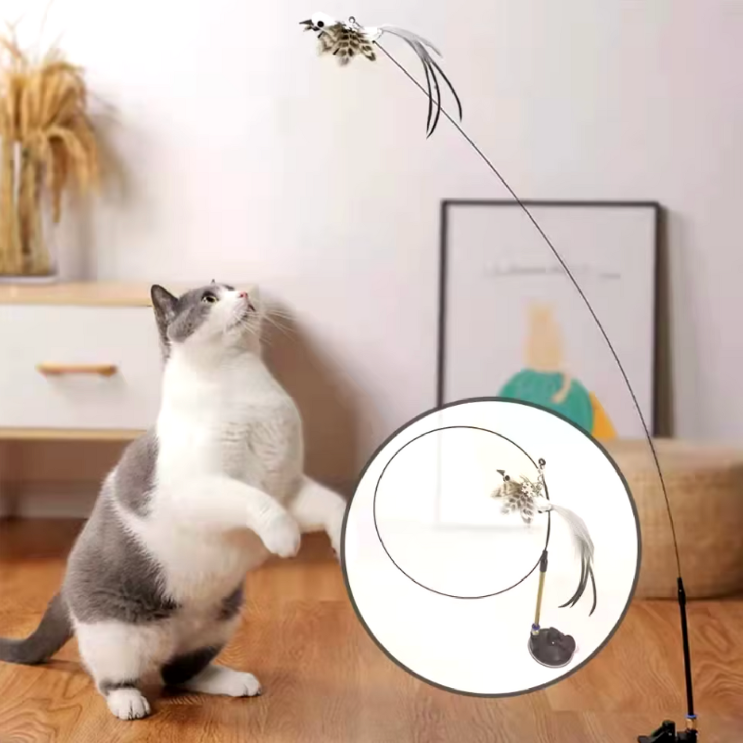 PACK 5 oiseaux + canne + ventouse stimulant pour chat