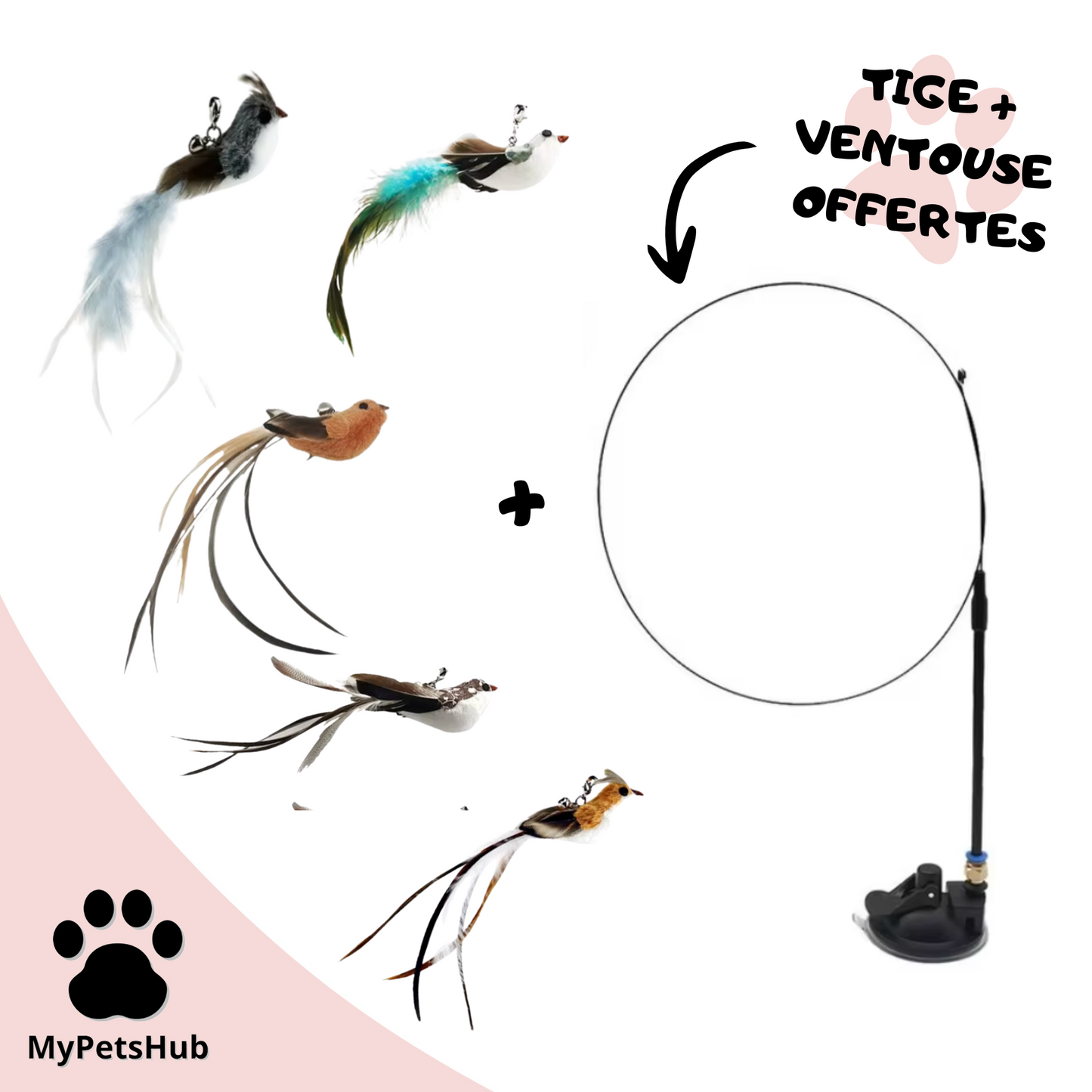 PACK 5 oiseaux + canne + ventouse stimulant pour chat