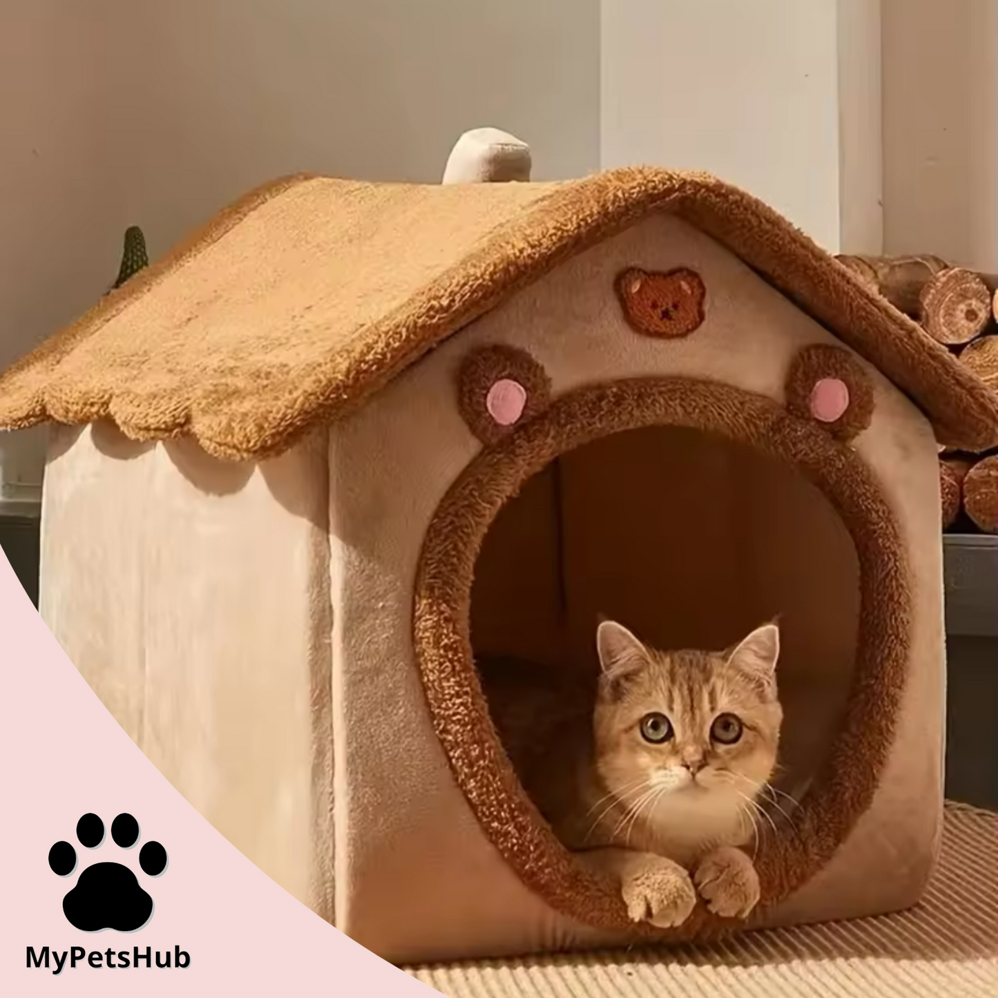 Maison nounours pour chien et chat