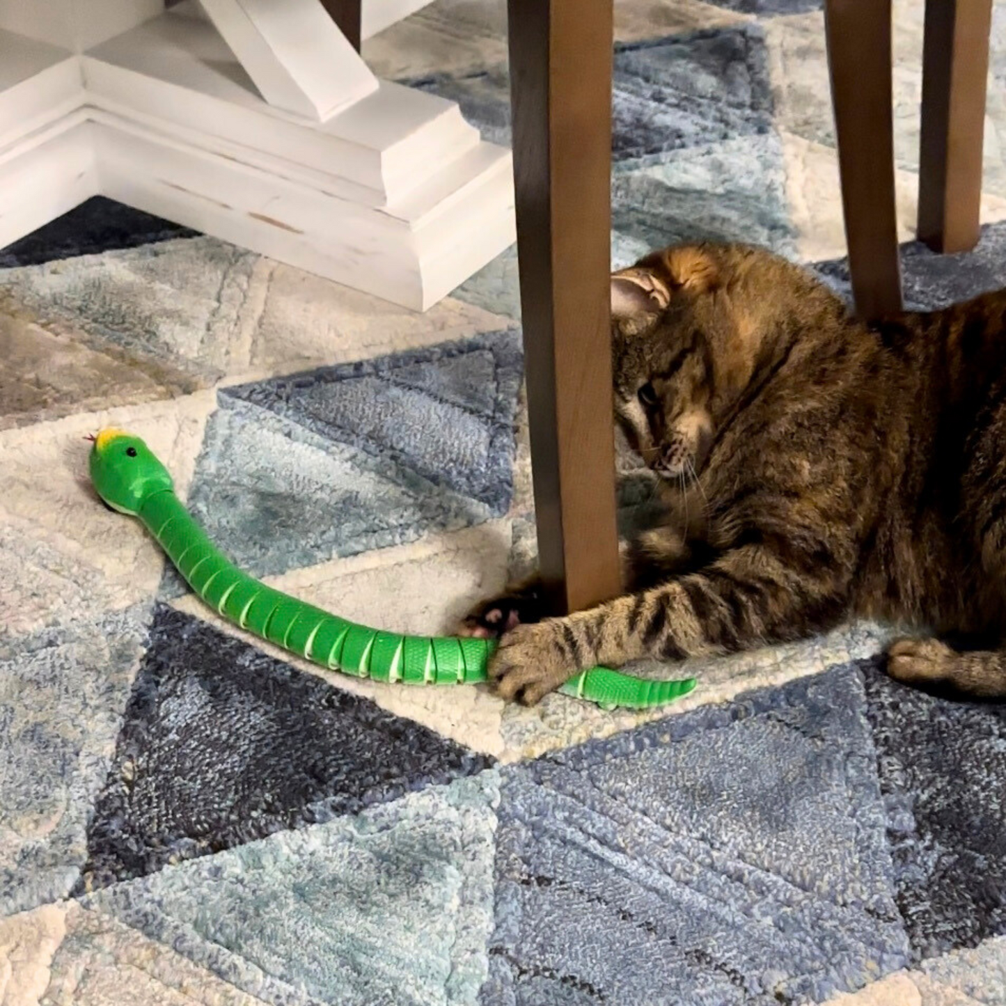 Serpent télécommandé stimulant pour chat - MyPetsHub