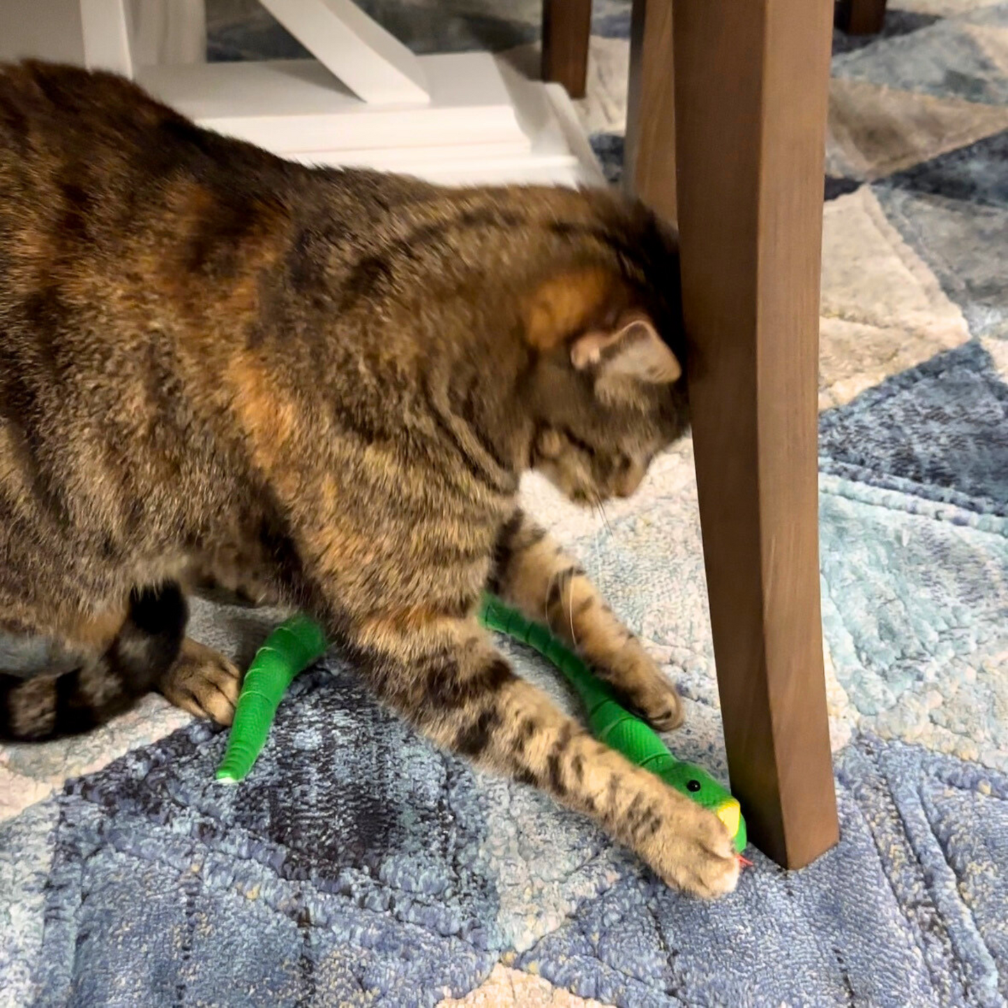 Serpent télécommandé stimulant pour chat - MyPetsHub