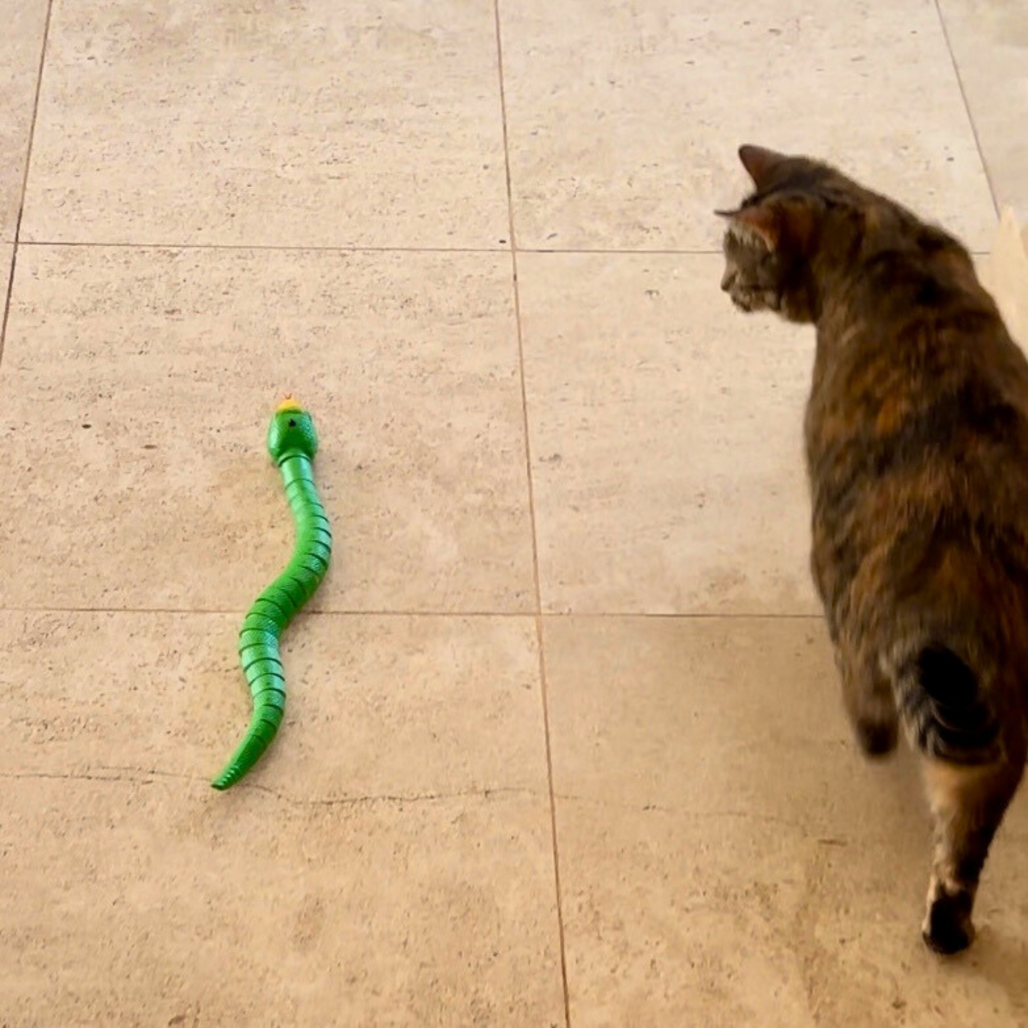 Serpent télécommandé stimulant pour chat - MyPetsHub