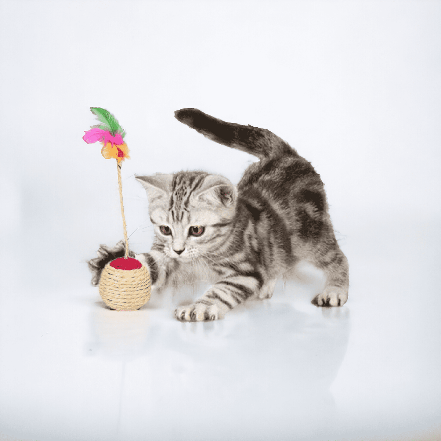 Balle de sisal pour chat | ResistBall™ - MyPetsHub