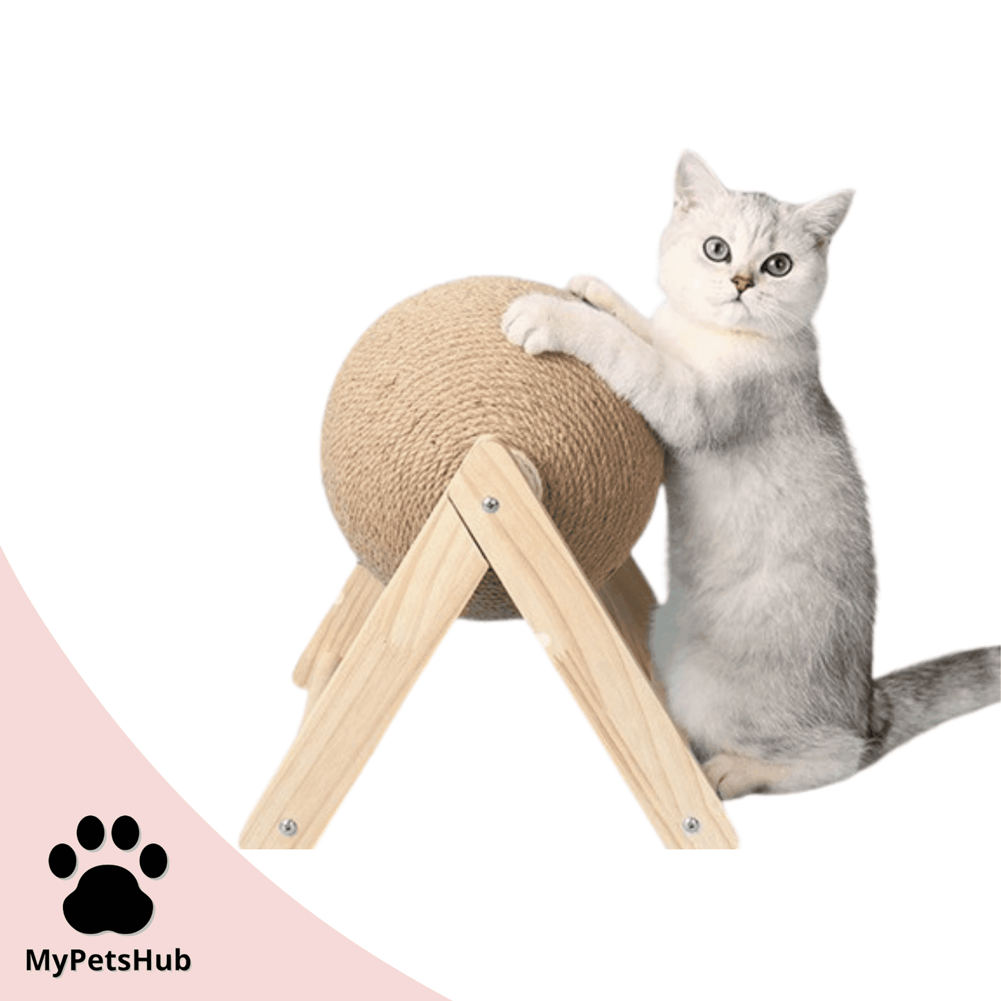 Boule à gratter pour chat | ScratchBall™ - MyPetsHub
