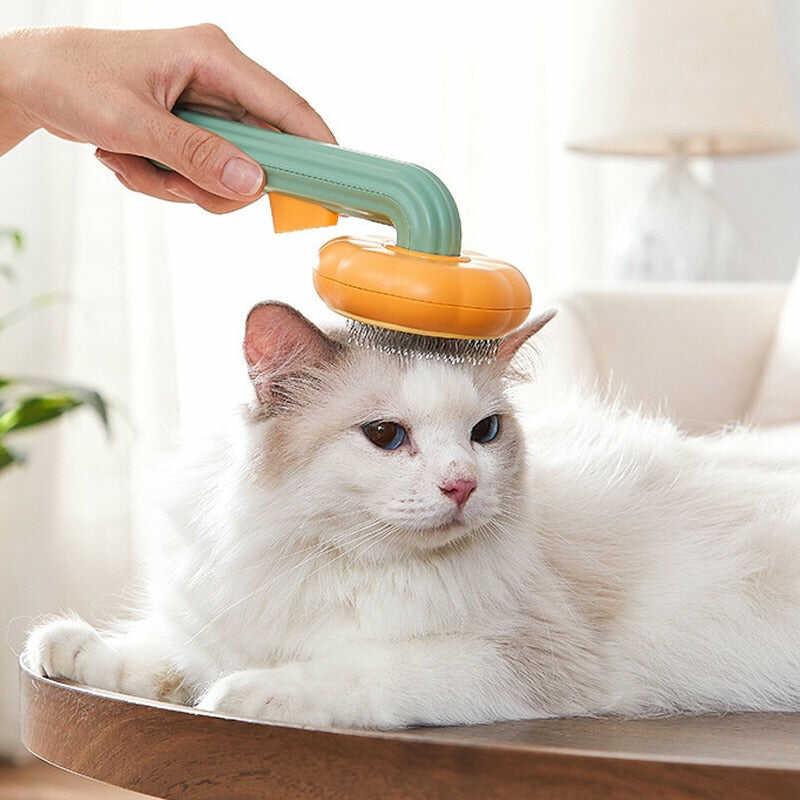 Brosse auto-nettoyante citrouille pour chat | AutoCleaner™ - MyPetsHub