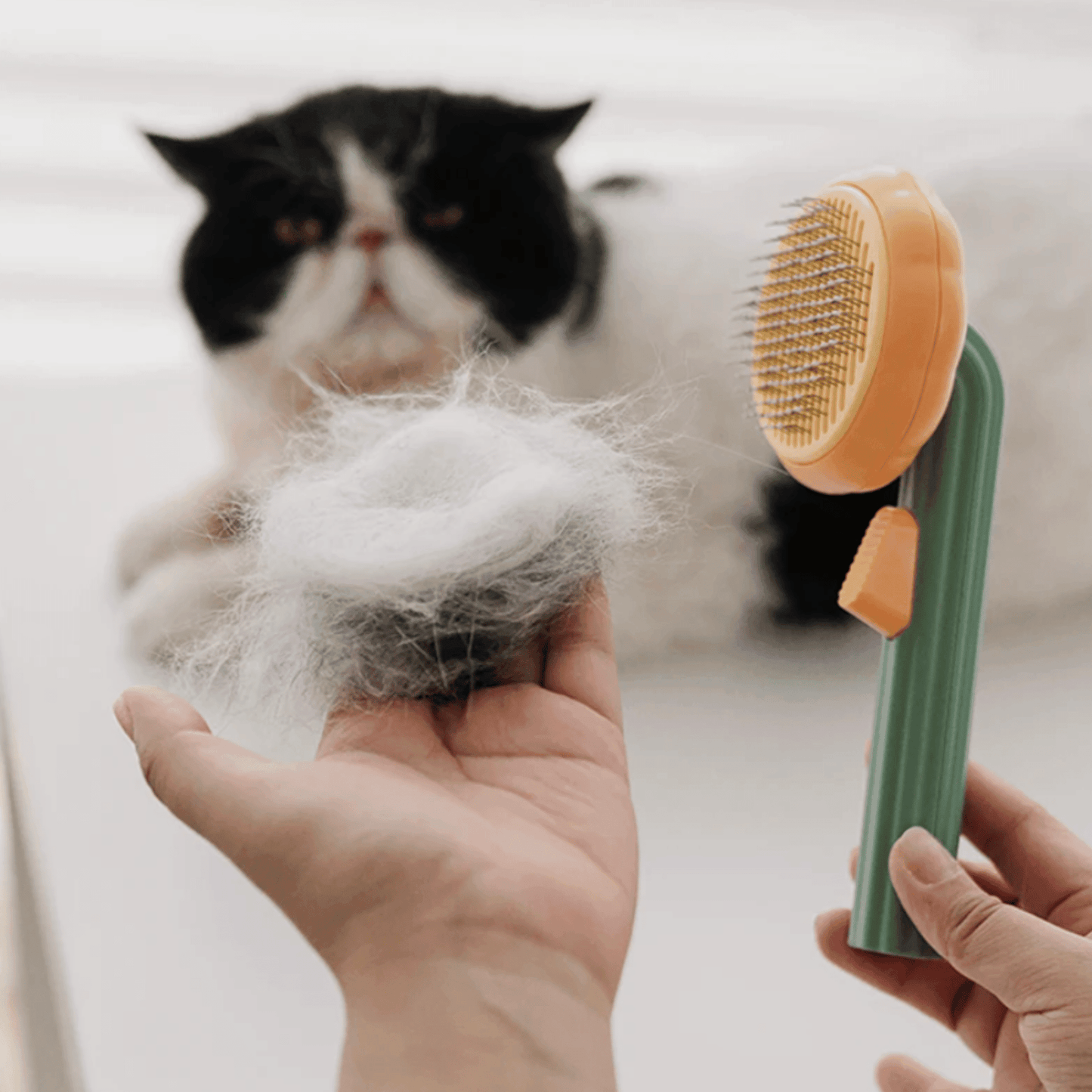 Brosse auto-nettoyante citrouille pour chat | AutoCleaner™ - MyPetsHub