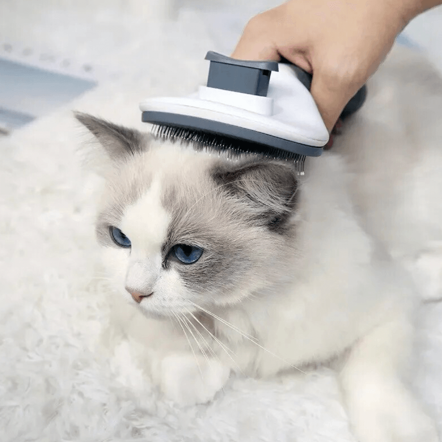 Brosse auto-nettoyante pour chat | PetBrusher™ - MyPetsHub