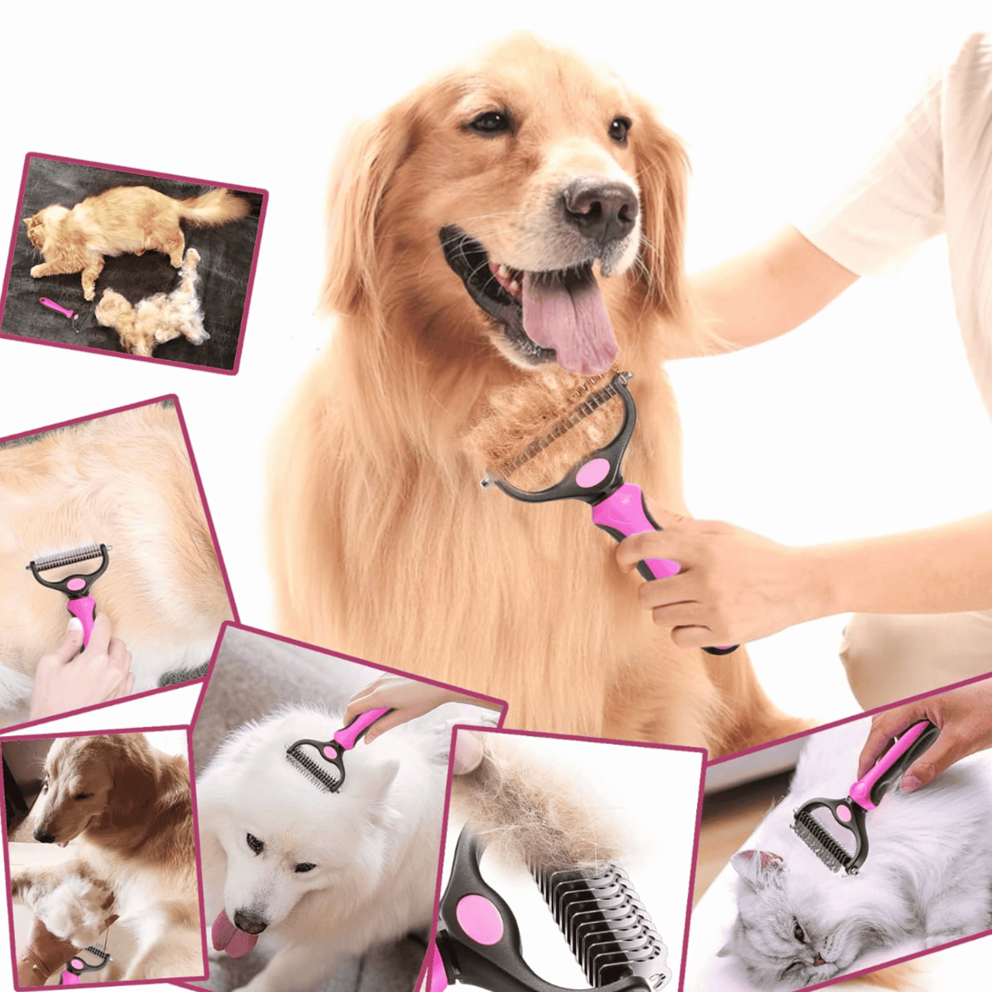 Brosse pour grand chat | MajeStyle™ - MyPetsHub