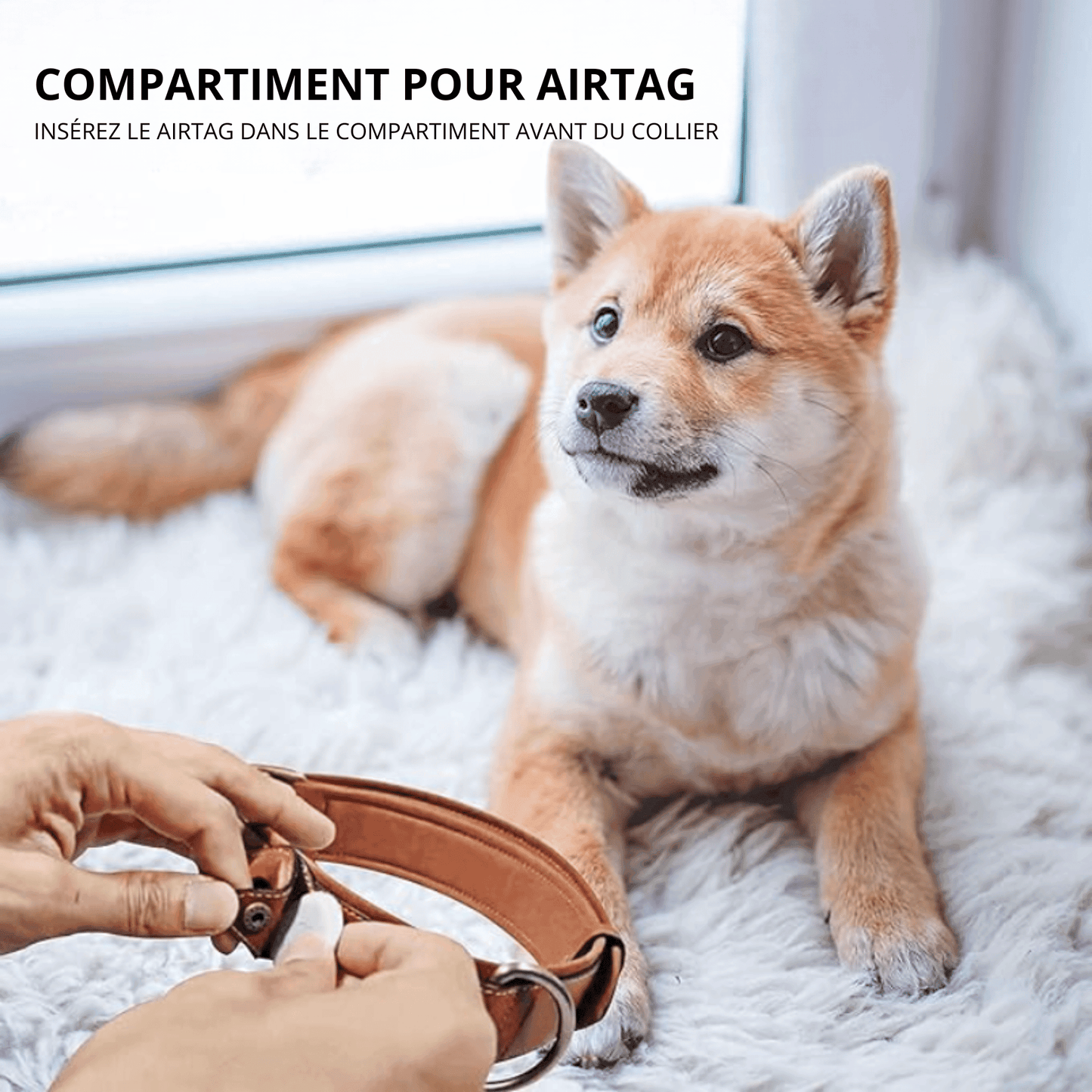 Collier anti-perte en cuir pour chien | DogTracer™ - MyPetsHub