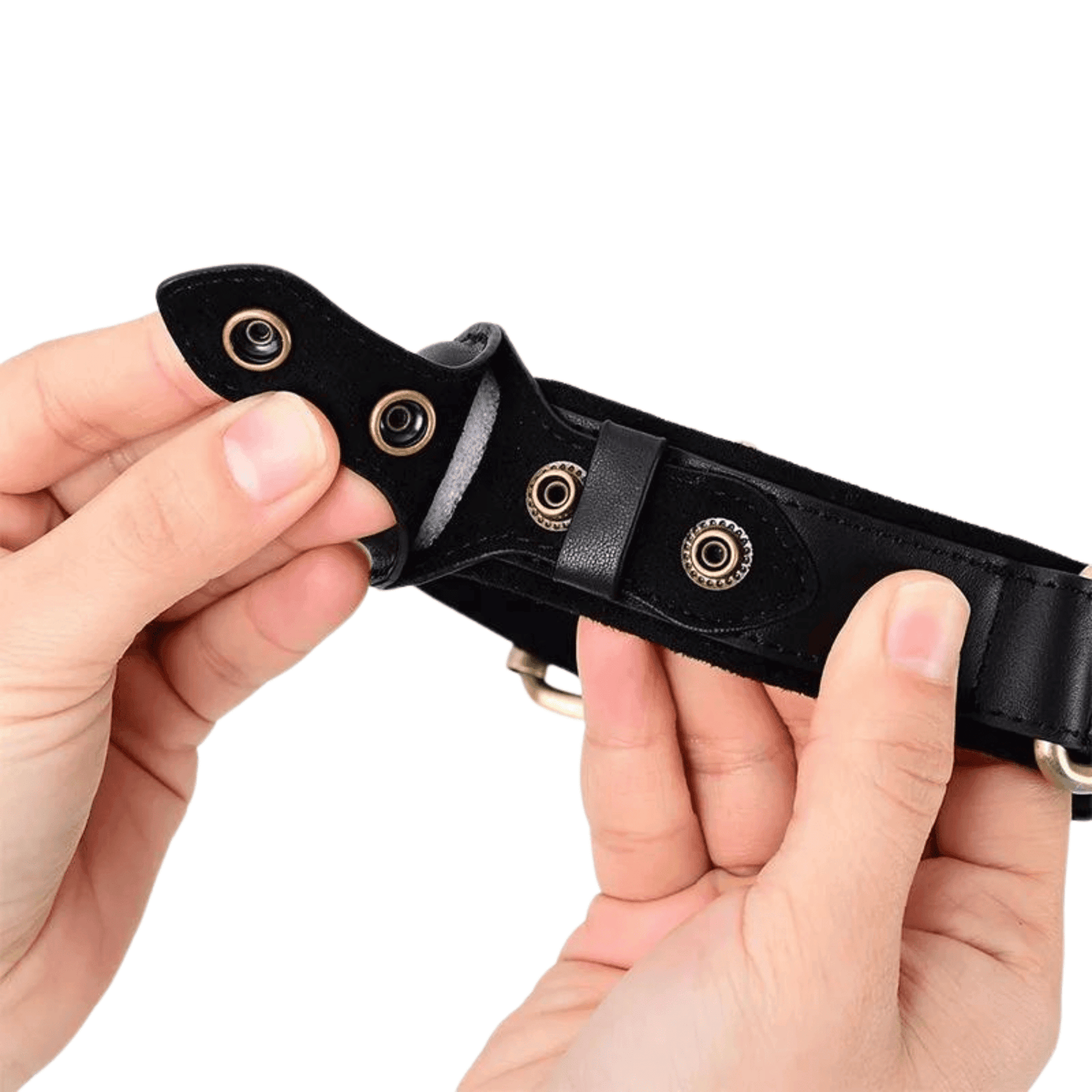 Collier anti-perte en cuir pour chien | DogTracer™ - MyPetsHub
