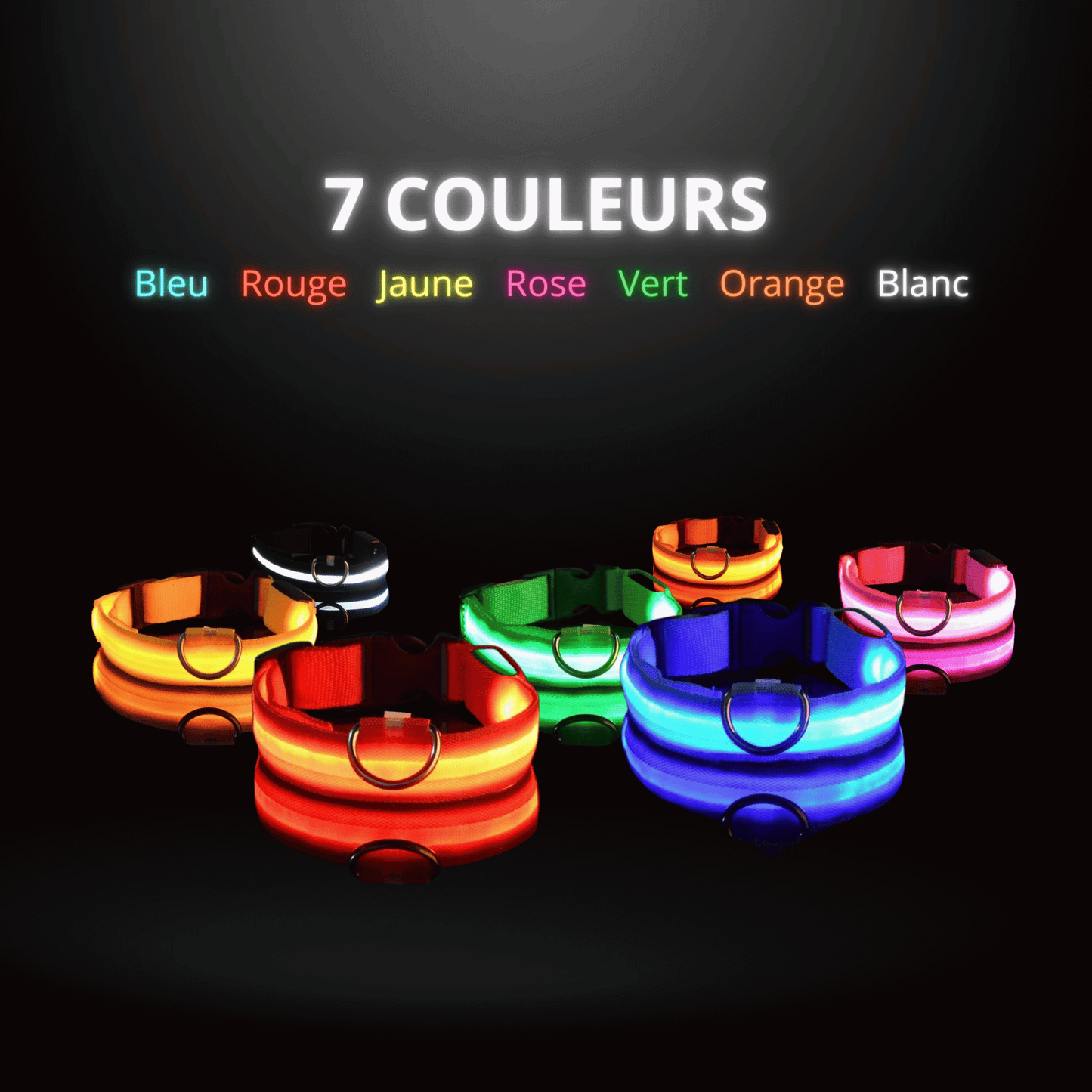 Collier Led pour chien | NightCollar™ - MyPetsHub