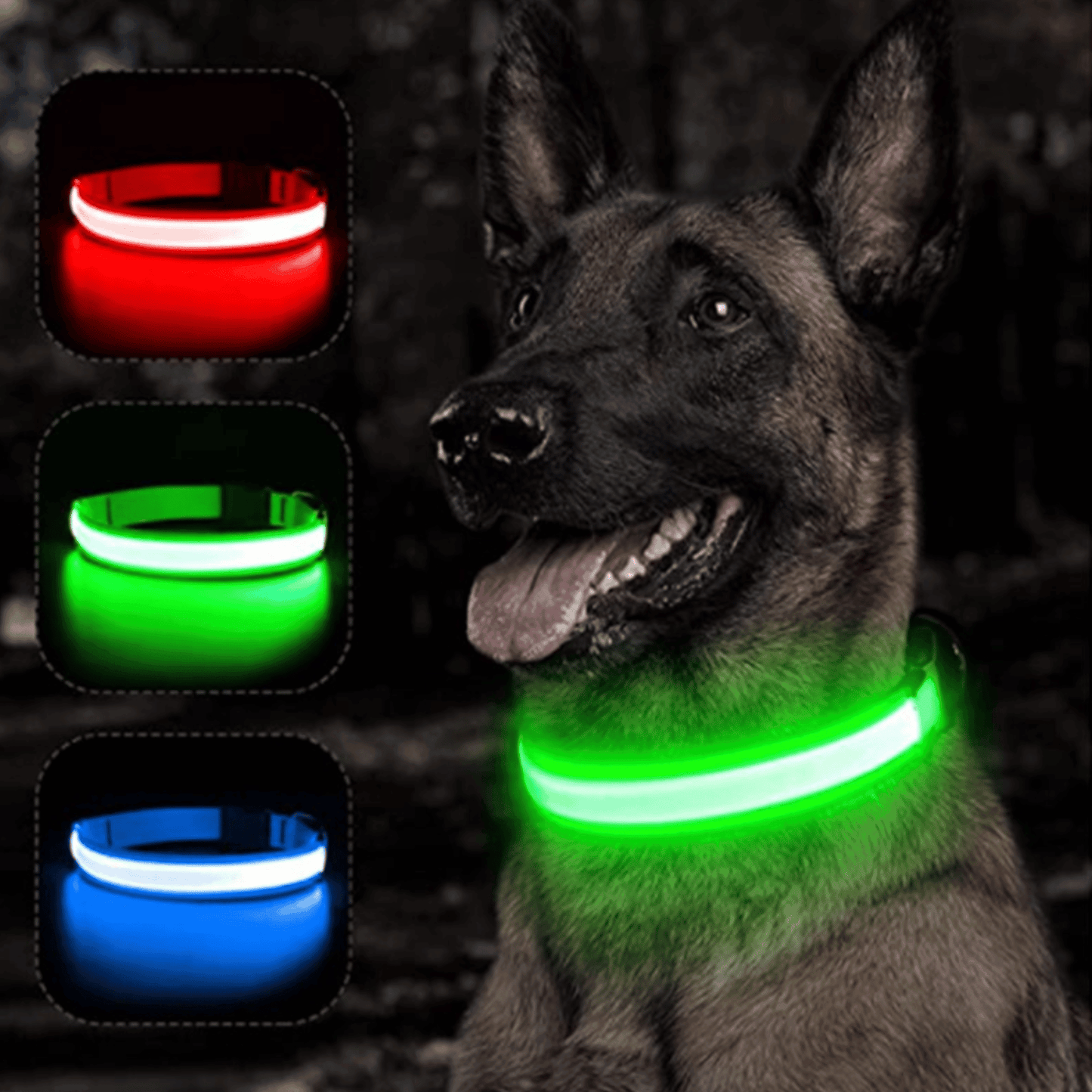 Collier Led pour chien | NightCollar™ - MyPetsHub