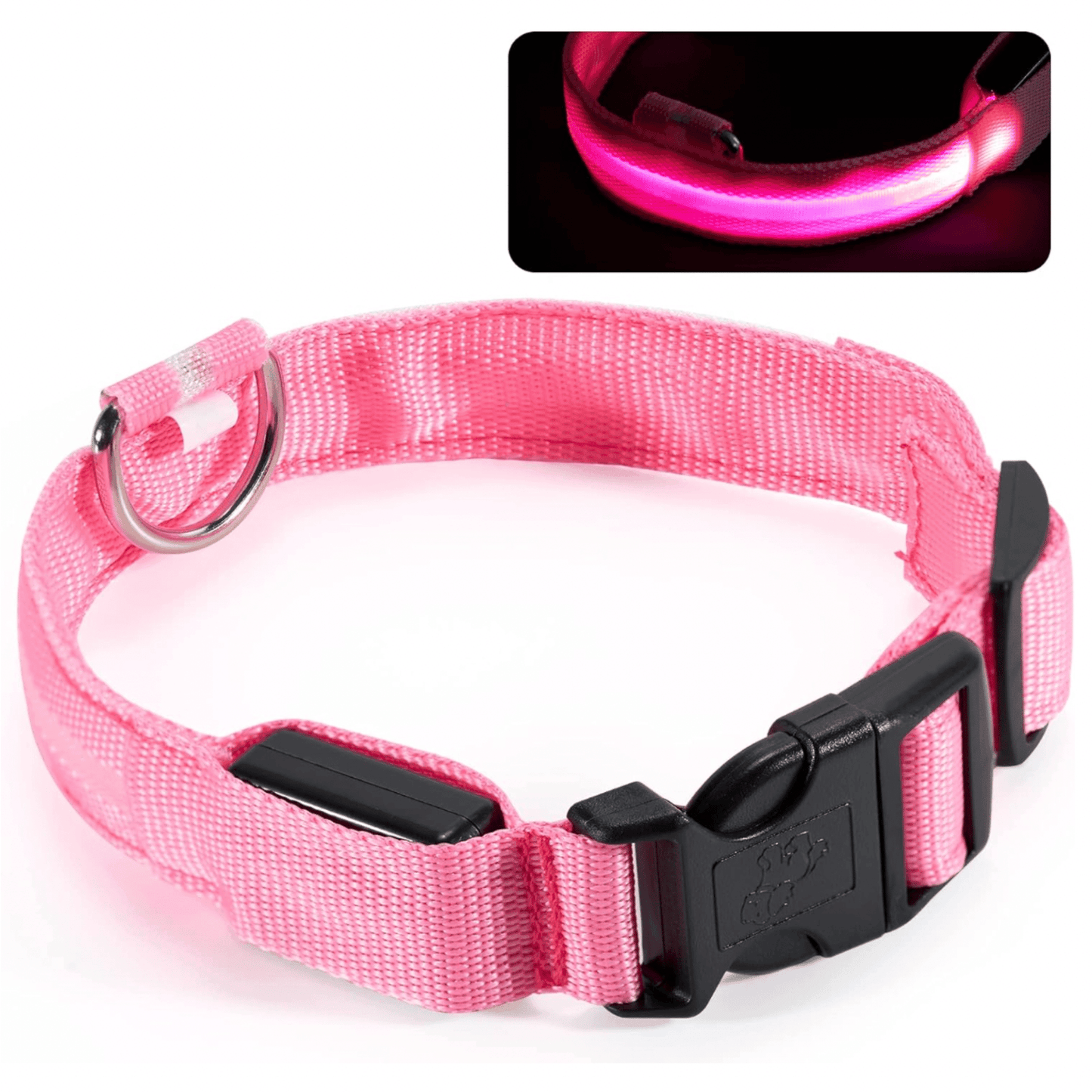 Collier Led pour chien | NightCollar™ - MyPetsHub