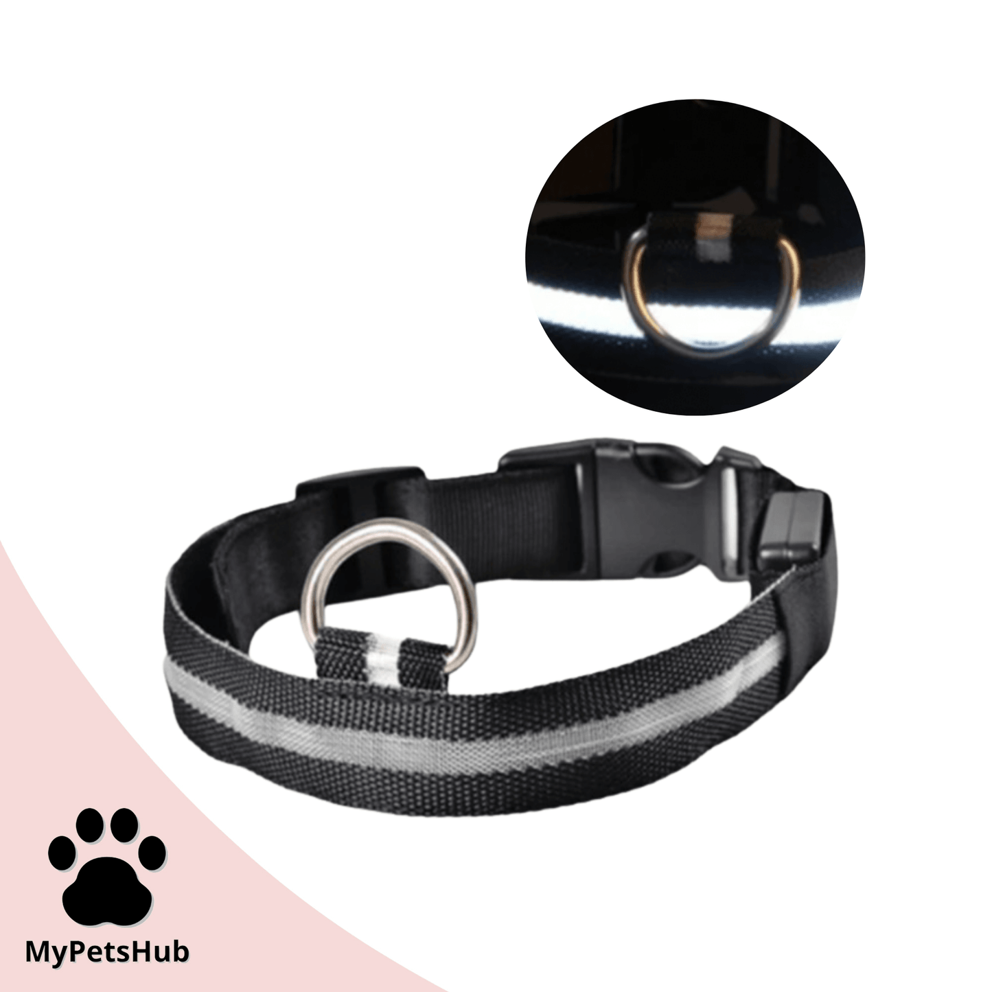 Collier Led pour chien - MyPetsHub