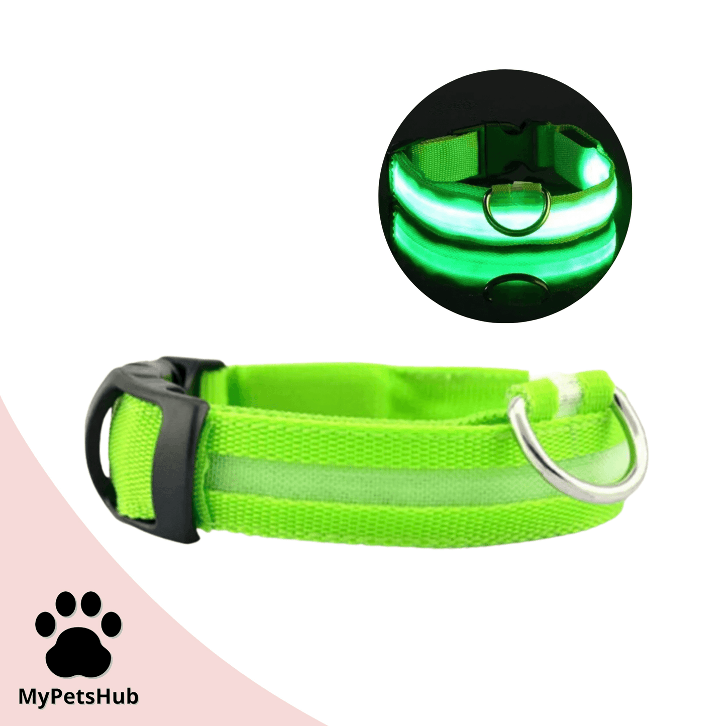 Collier Led pour chien - MyPetsHub