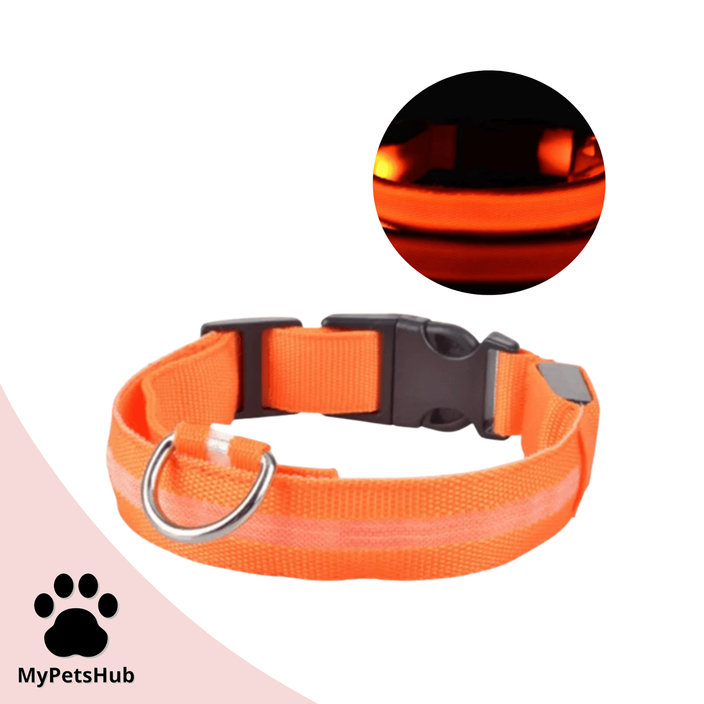 Collier Led pour chien - MyPetsHub