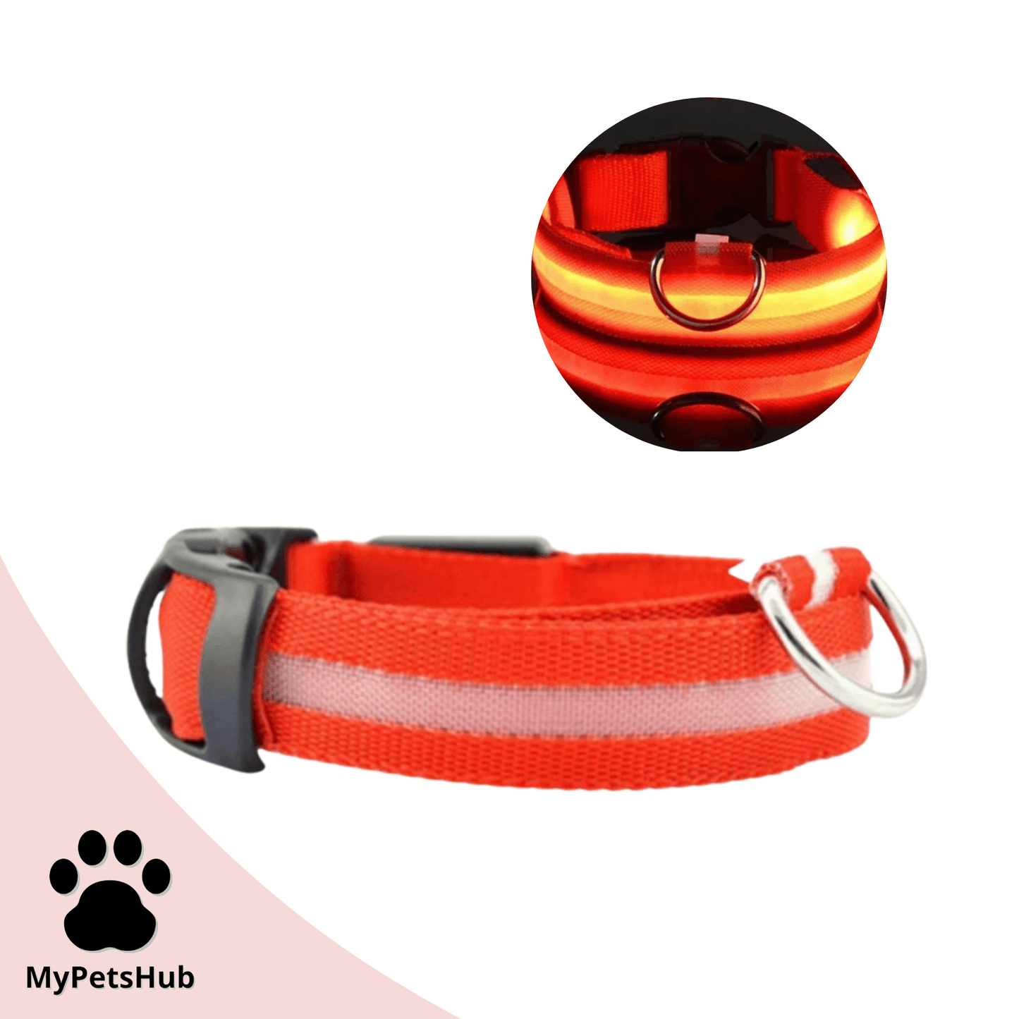 Collier Led pour chien - MyPetsHub