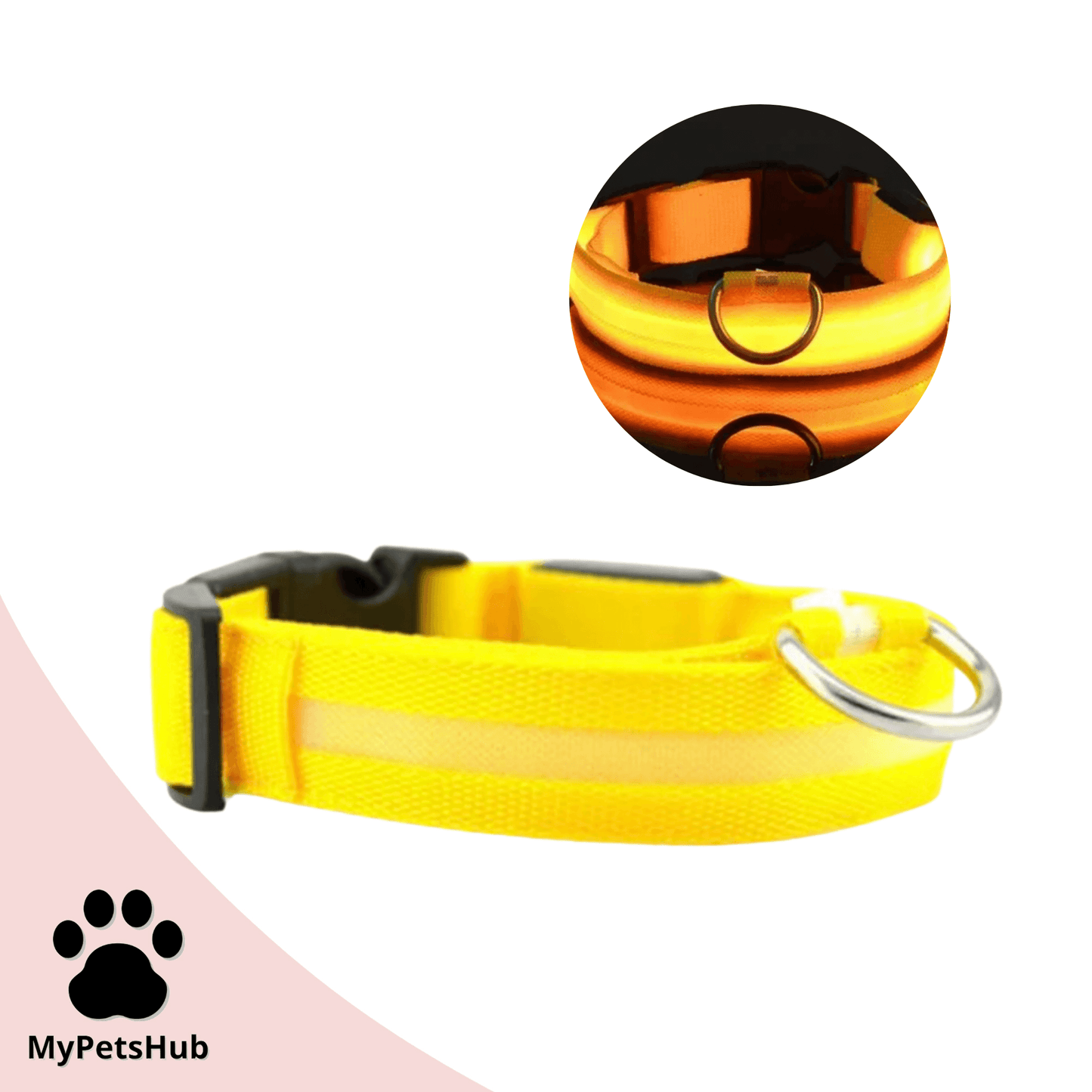 Collier Led pour chien - MyPetsHub
