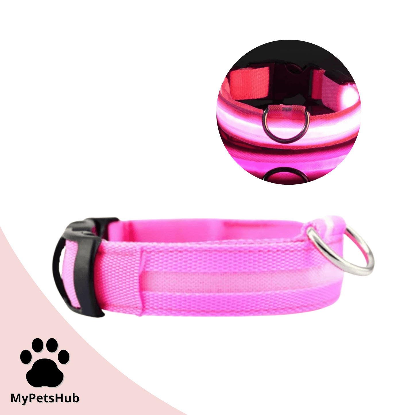 Collier Led pour chien - MyPetsHub