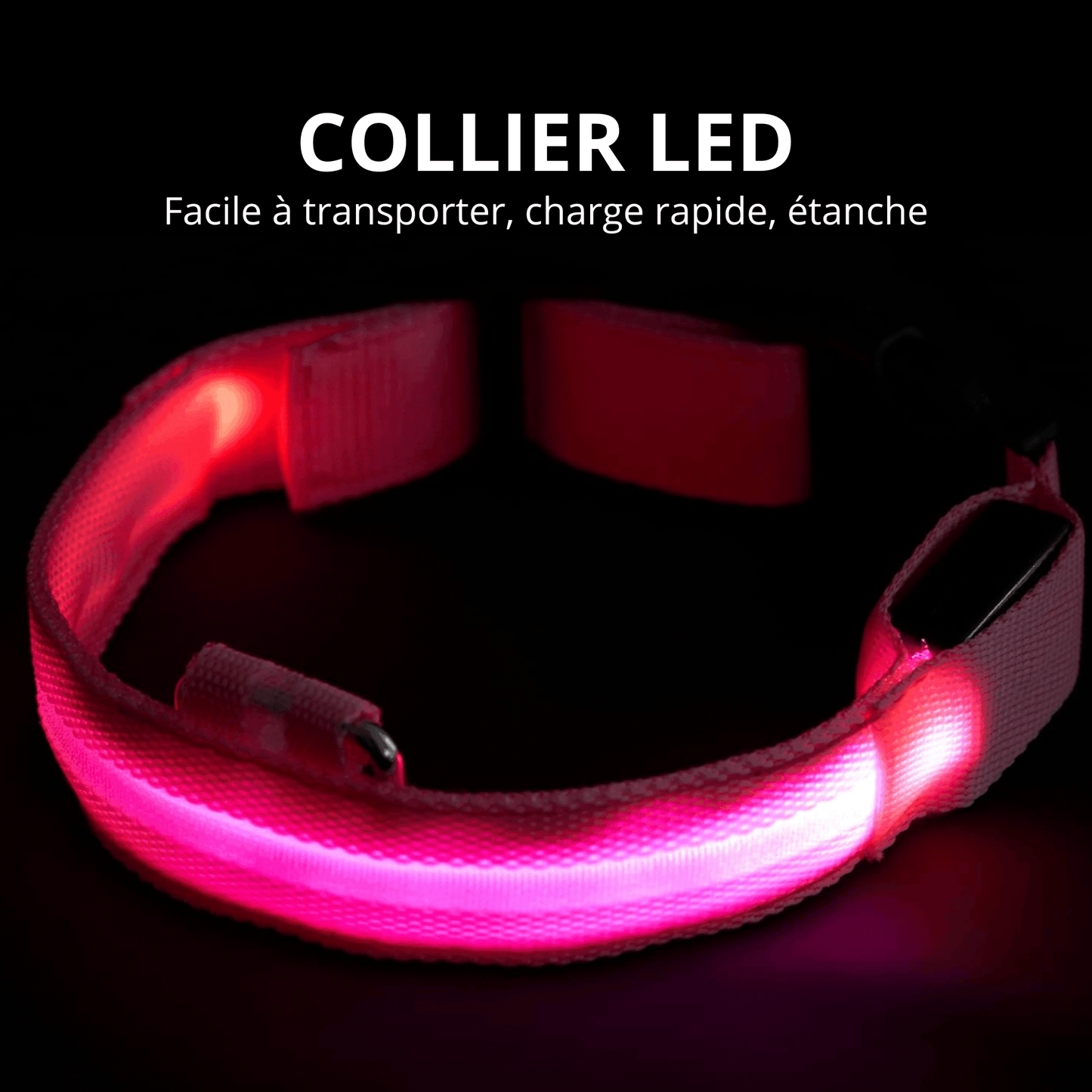 Collier Led pour chien | NightCollar™ - MyPetsHub
