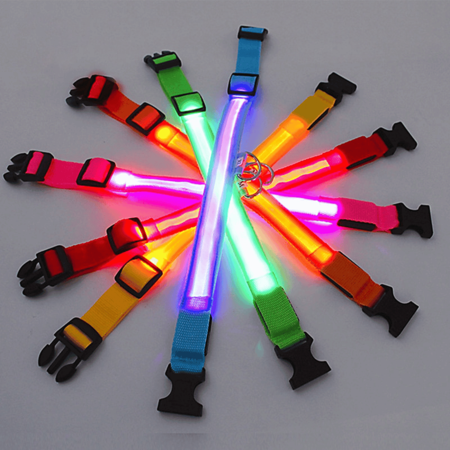 Collier Led pour chien | NightCollar™ - MyPetsHub