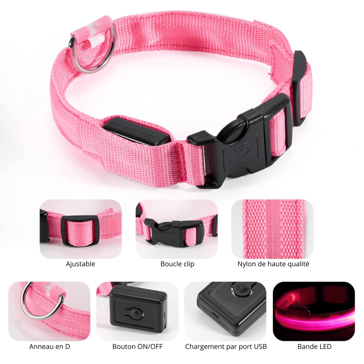 Collier Led pour chien | NightCollar™ - MyPetsHub