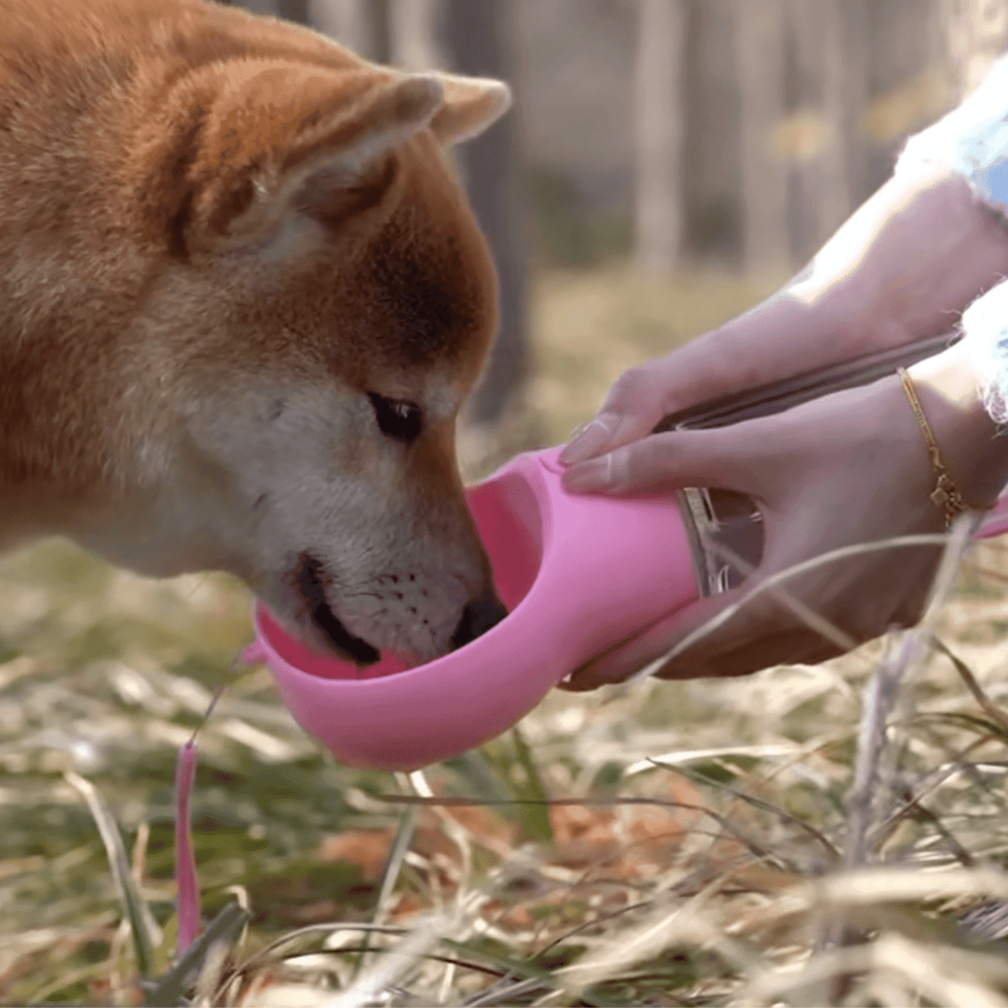 Distributeur portable 3 en 1 pour chien | DistriDog™ - MyPetsHub