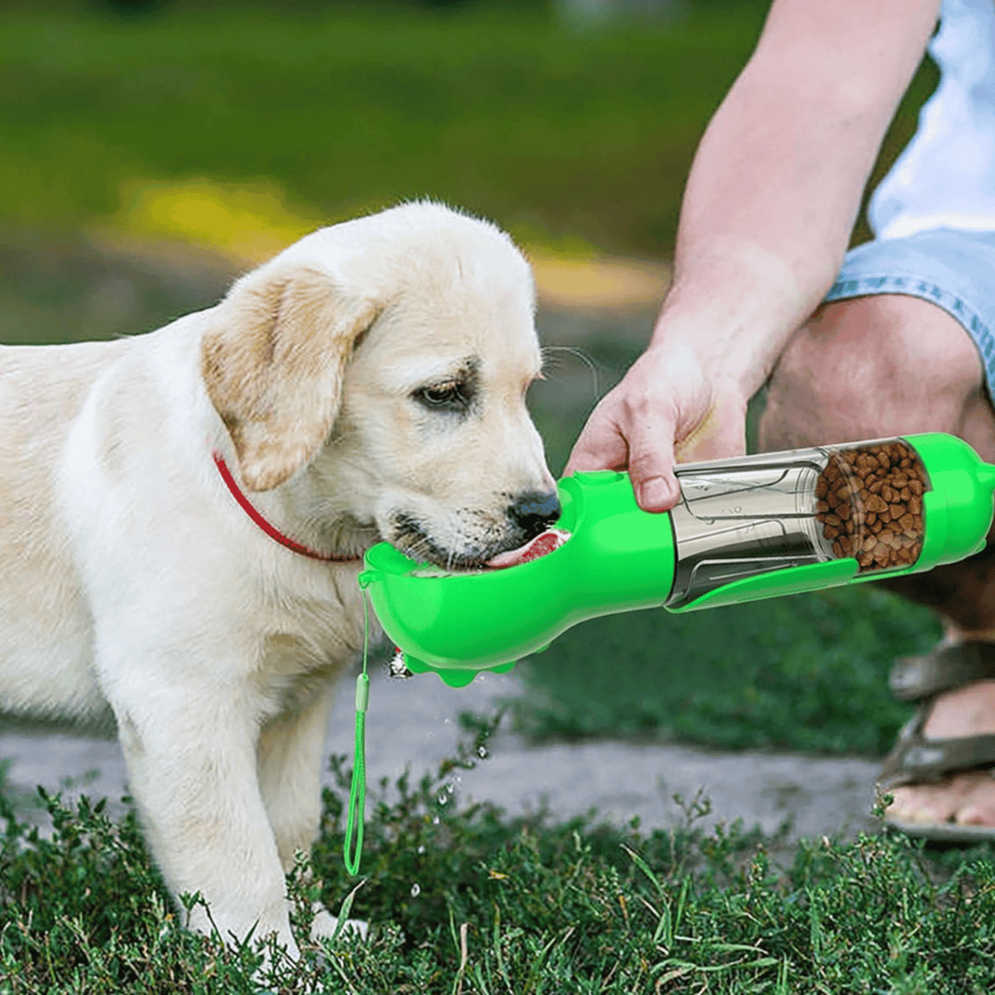 Distributeur portable 3 en 1 pour chien | DistriDog™ - MyPetsHub