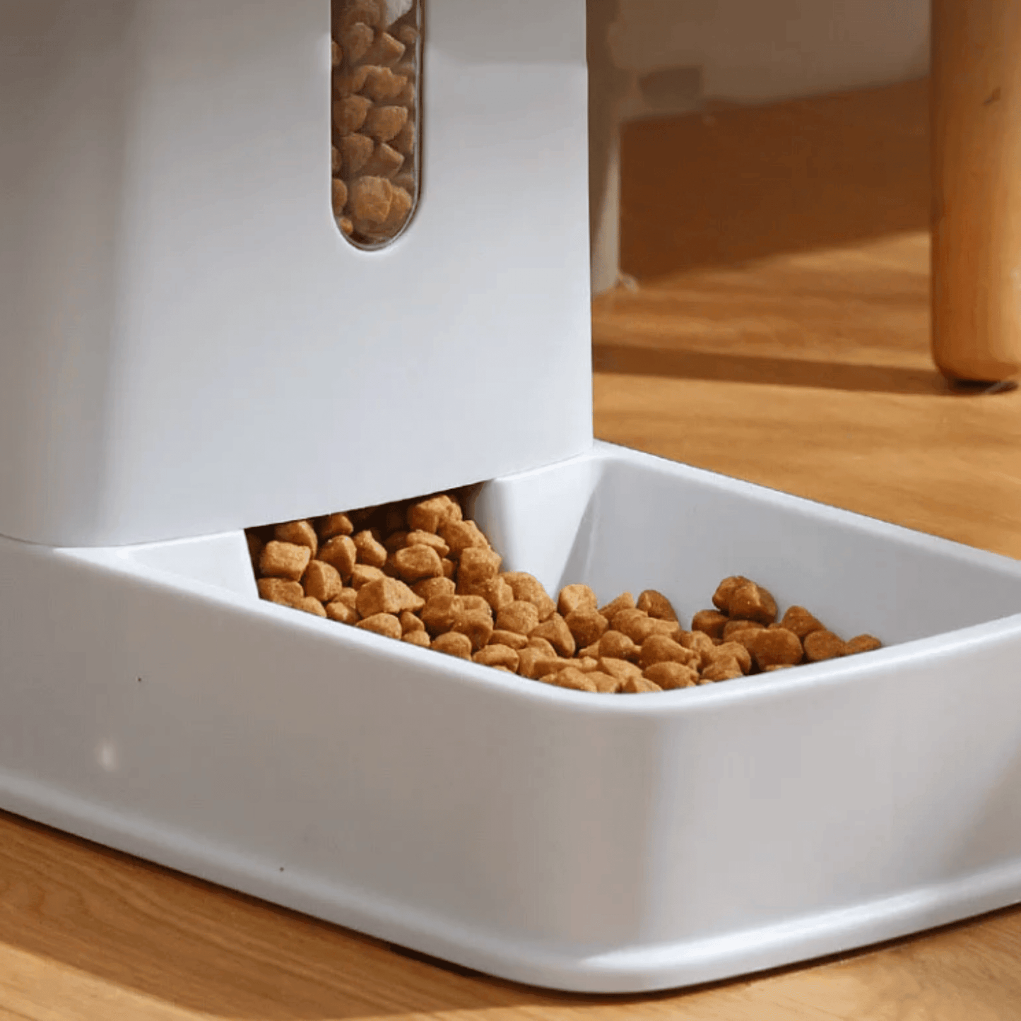 Distributeurs automatique pour chat | FeederCat™ - MyPetsHub