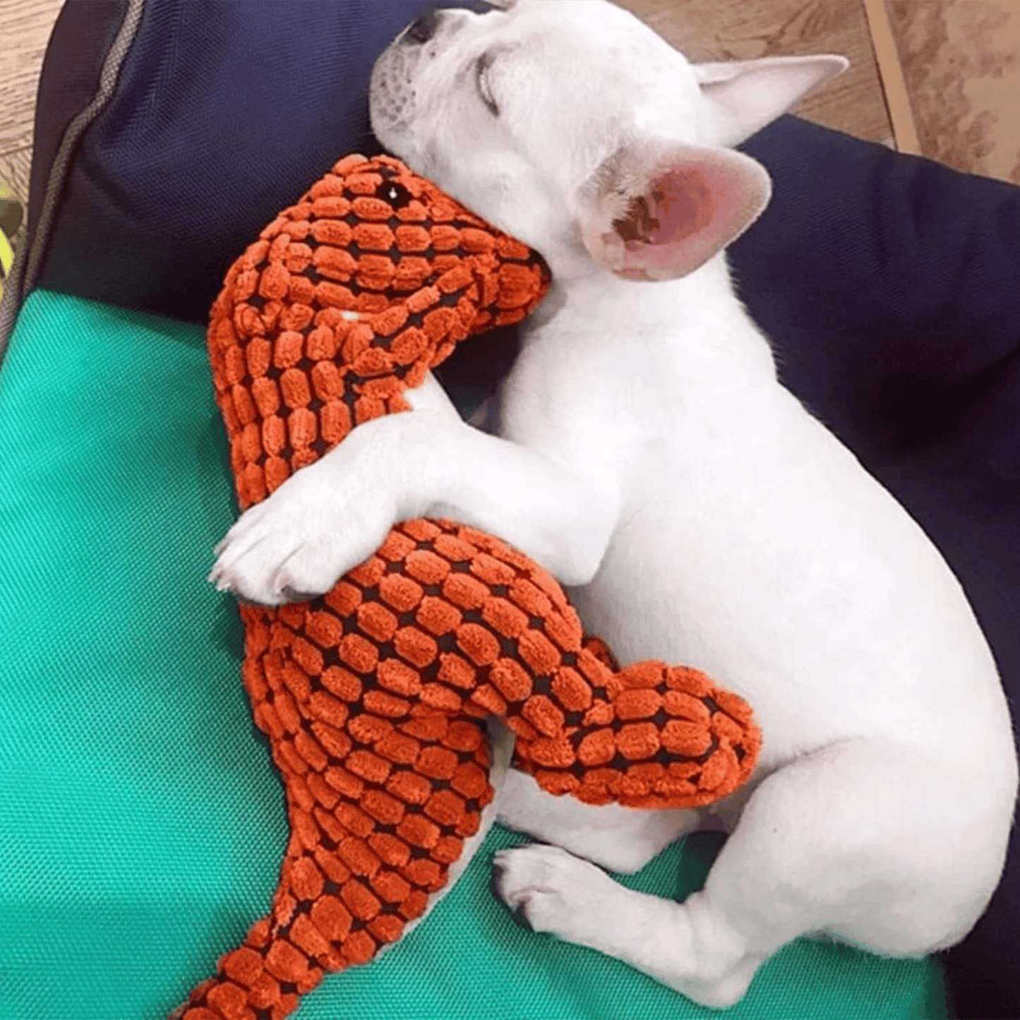 Doudou dinosaure pour chien | Dinobite™ - MyPetsHub