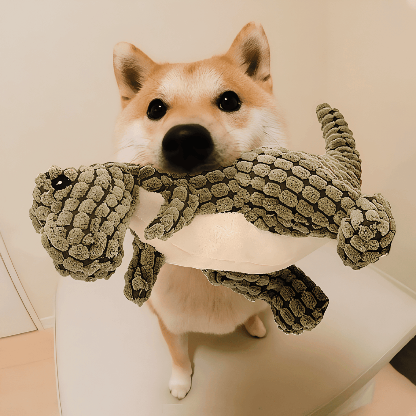 Doudou dinosaure pour chien | Dinobite™ - MyPetsHub