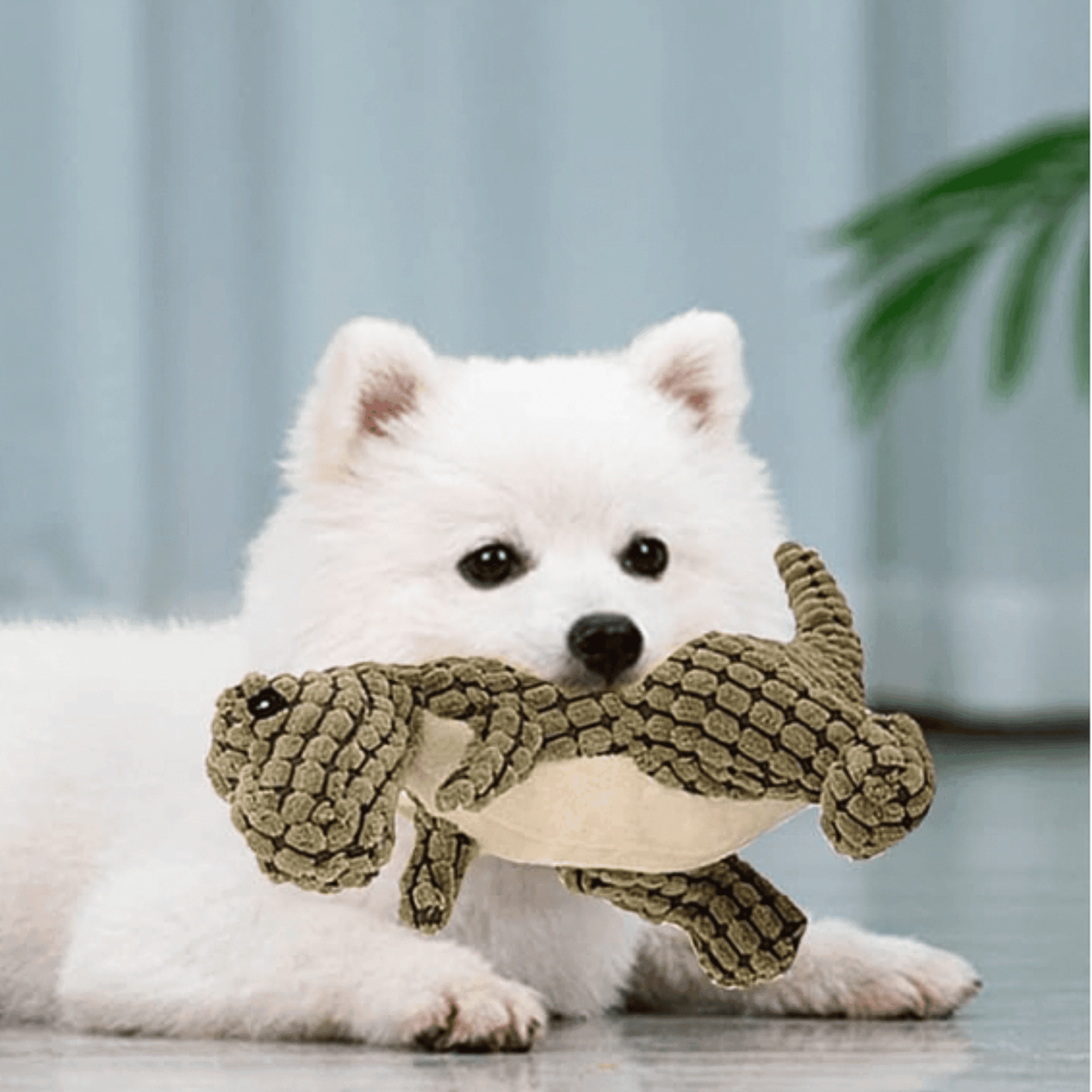 Doudou dinosaure pour chien | Dinobite™ - MyPetsHub