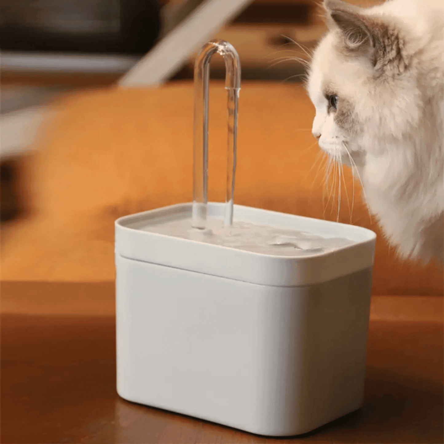 Fontaine automatique pour chat | AquaCat™ - MyPetsHub