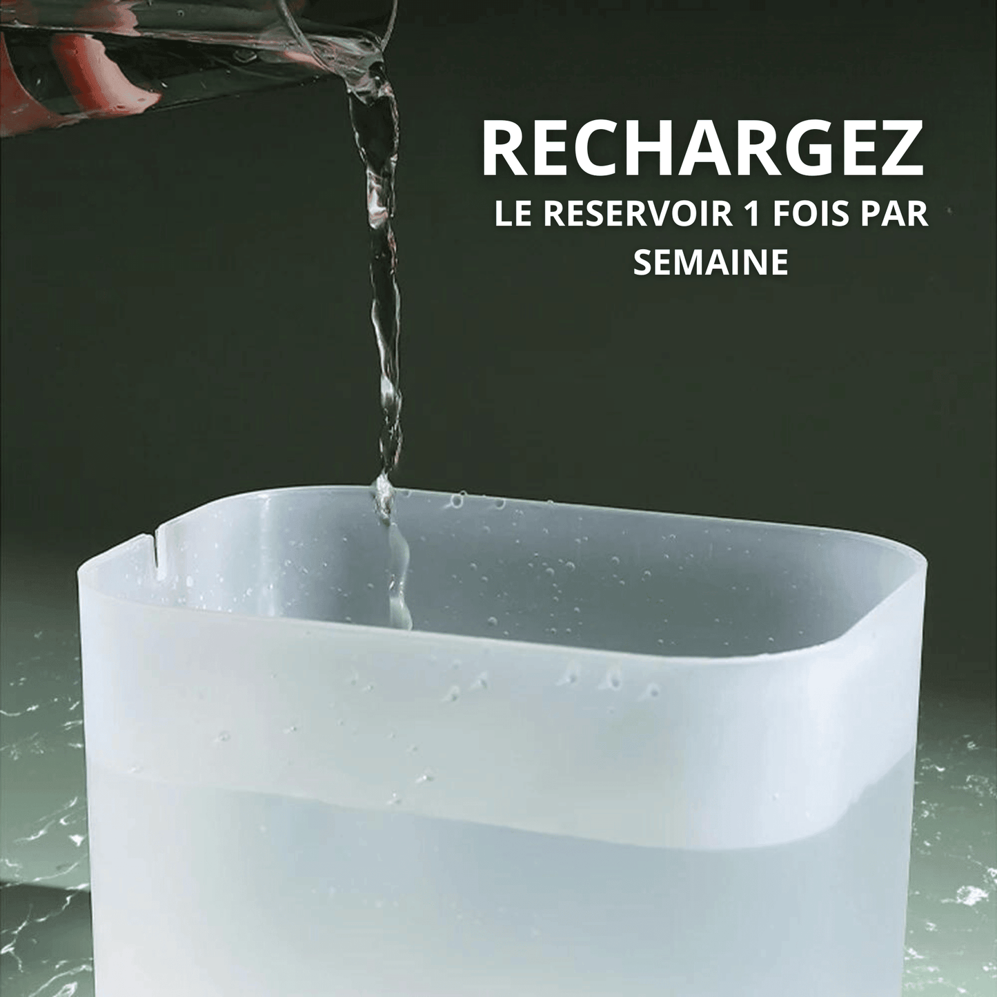 Fontaine automatique pour chat | AquaCat™ - MyPetsHub