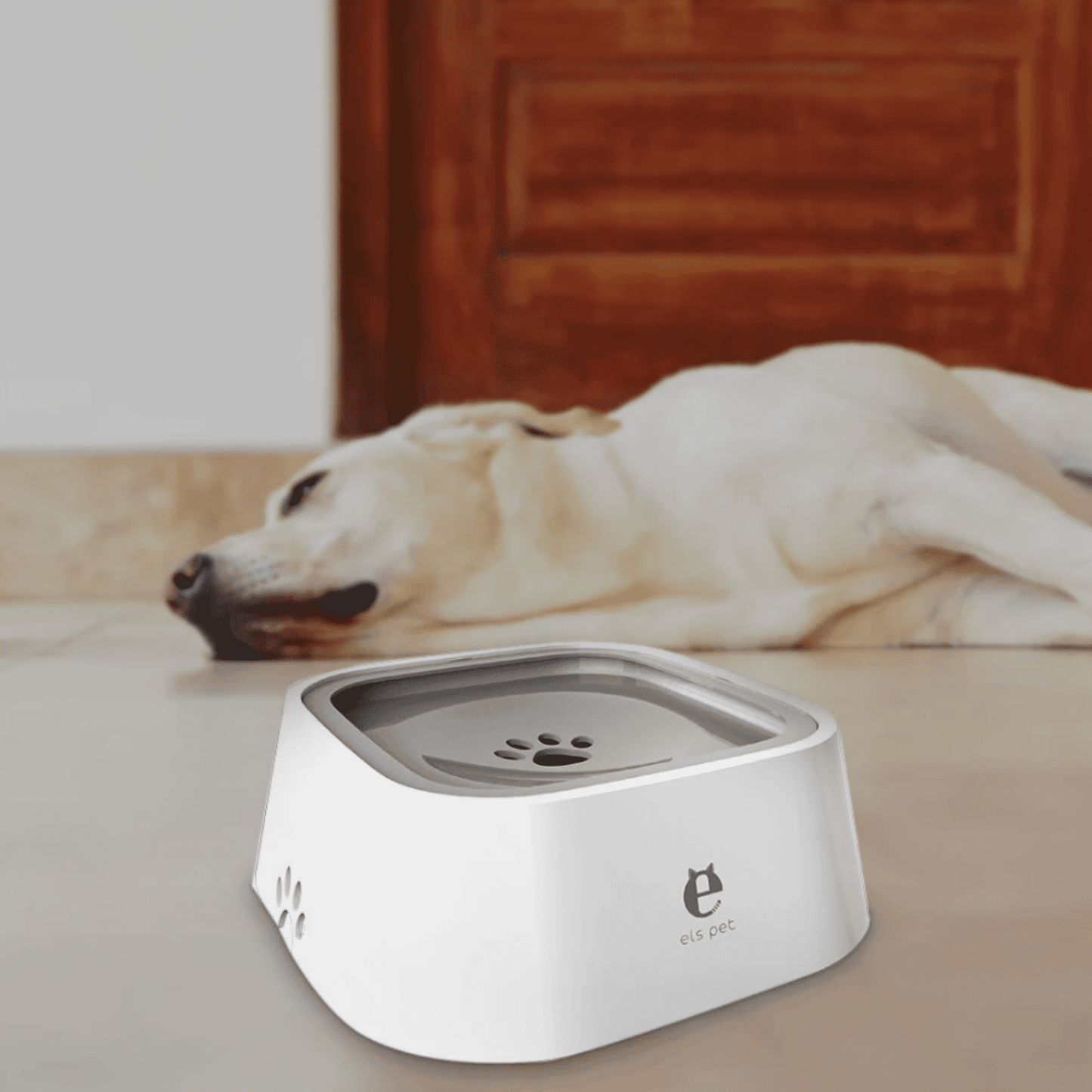 Bol d'eau flottante pour chien | Els Pet™ - MyPetsHub