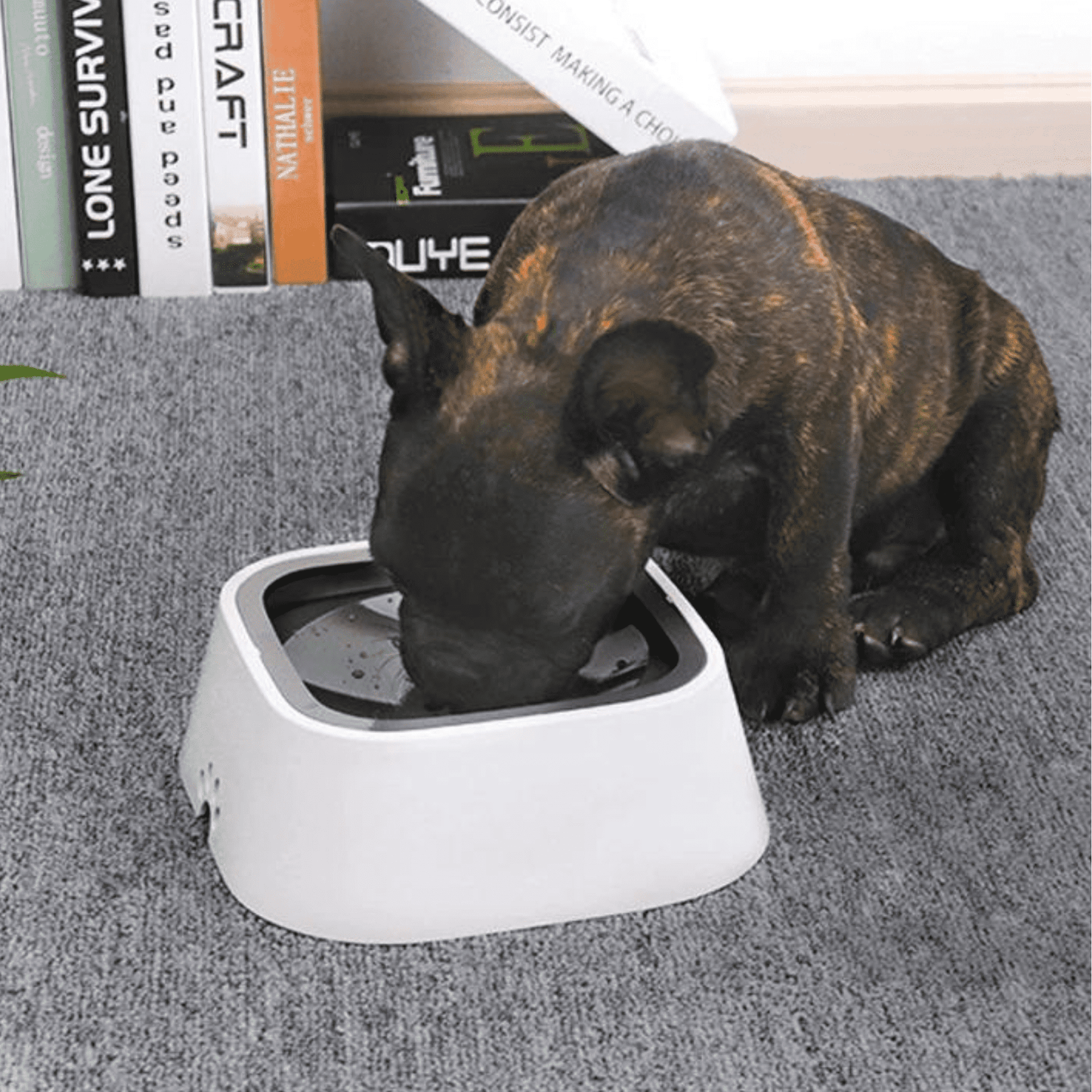 Bol d'eau flottante pour chien | Els Pet™ - MyPetsHub