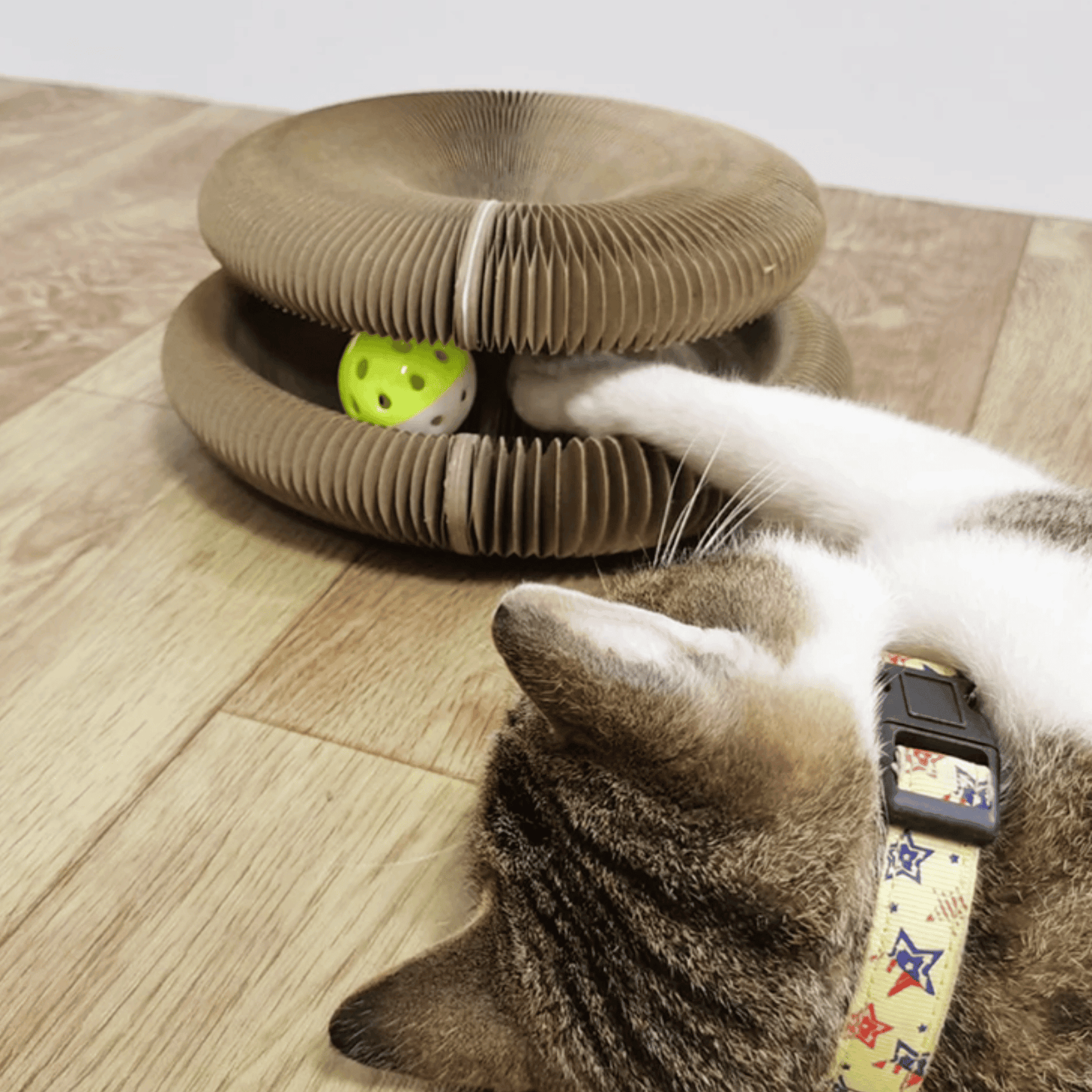 Griffoir stimulant pour chat | CatScratcher™ - MyPetsHub