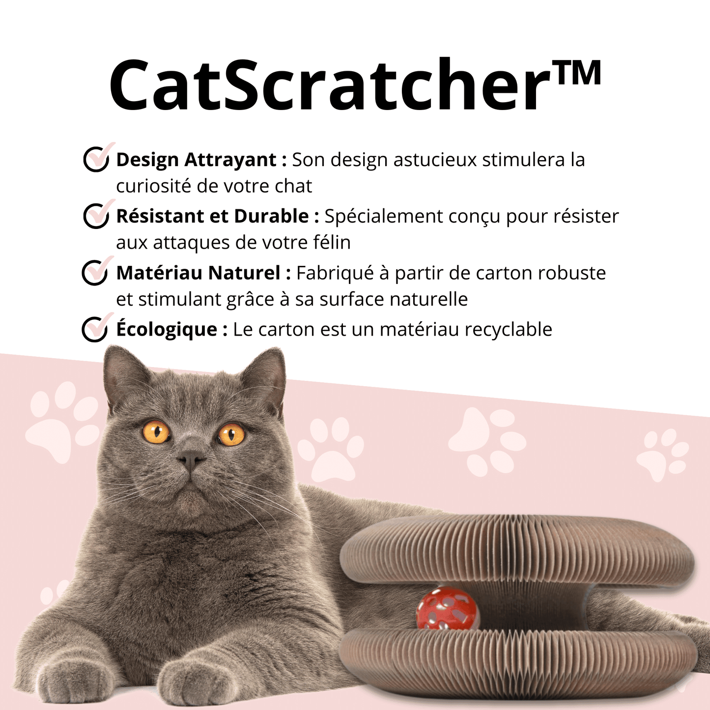 Griffoir stimulant pour chat | CatScratcher™ - MyPetsHub