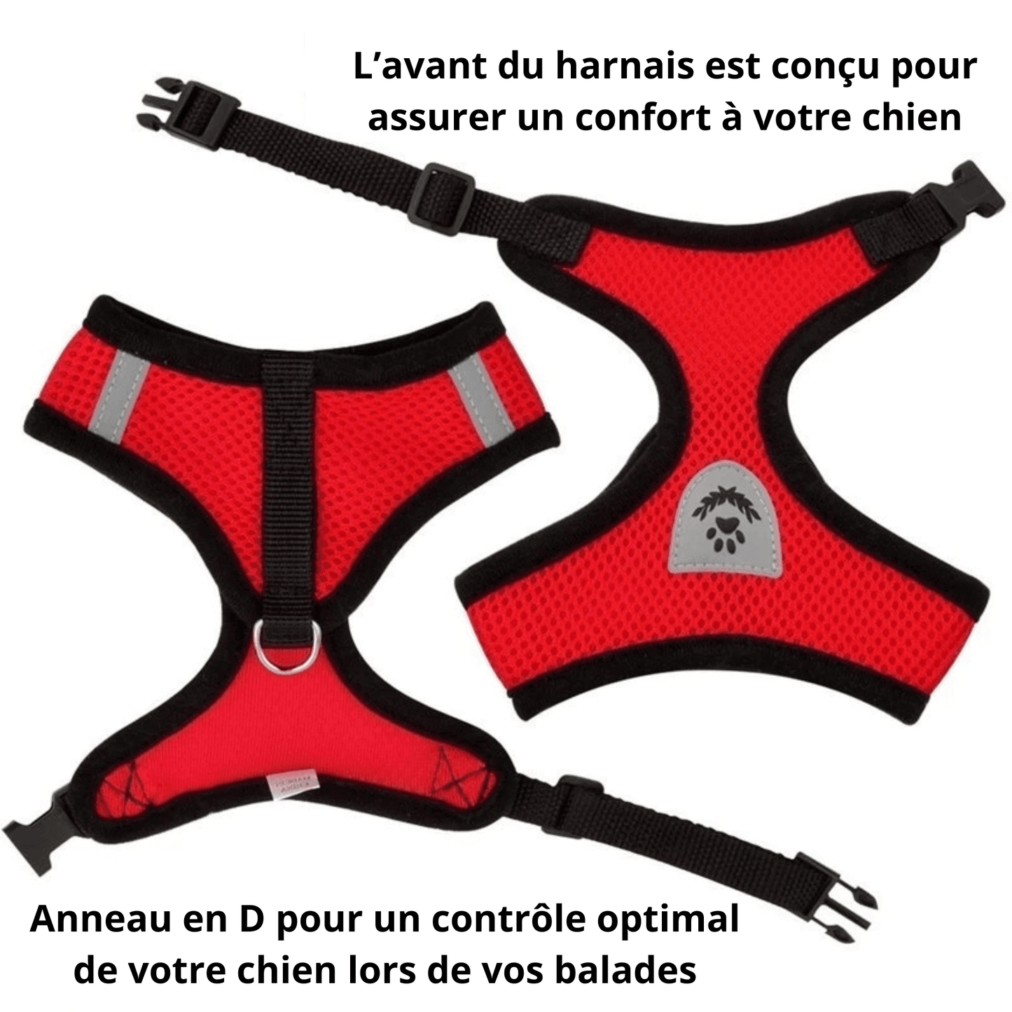 Harnais + Laisse offerte pour chien | DogAdventure™ - MyPetsHub