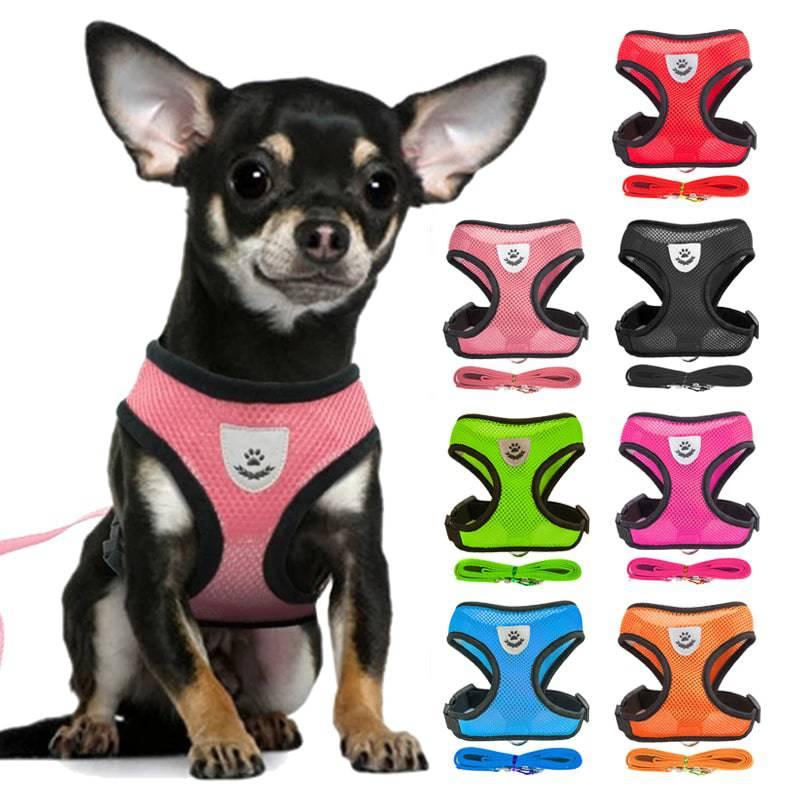 Harnais + Laisse offerte pour chien | DogAdventure™ - MyPetsHub