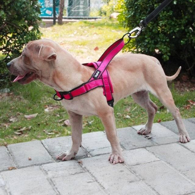 Harnais pour chien | Doggy™ - MyPetsHub