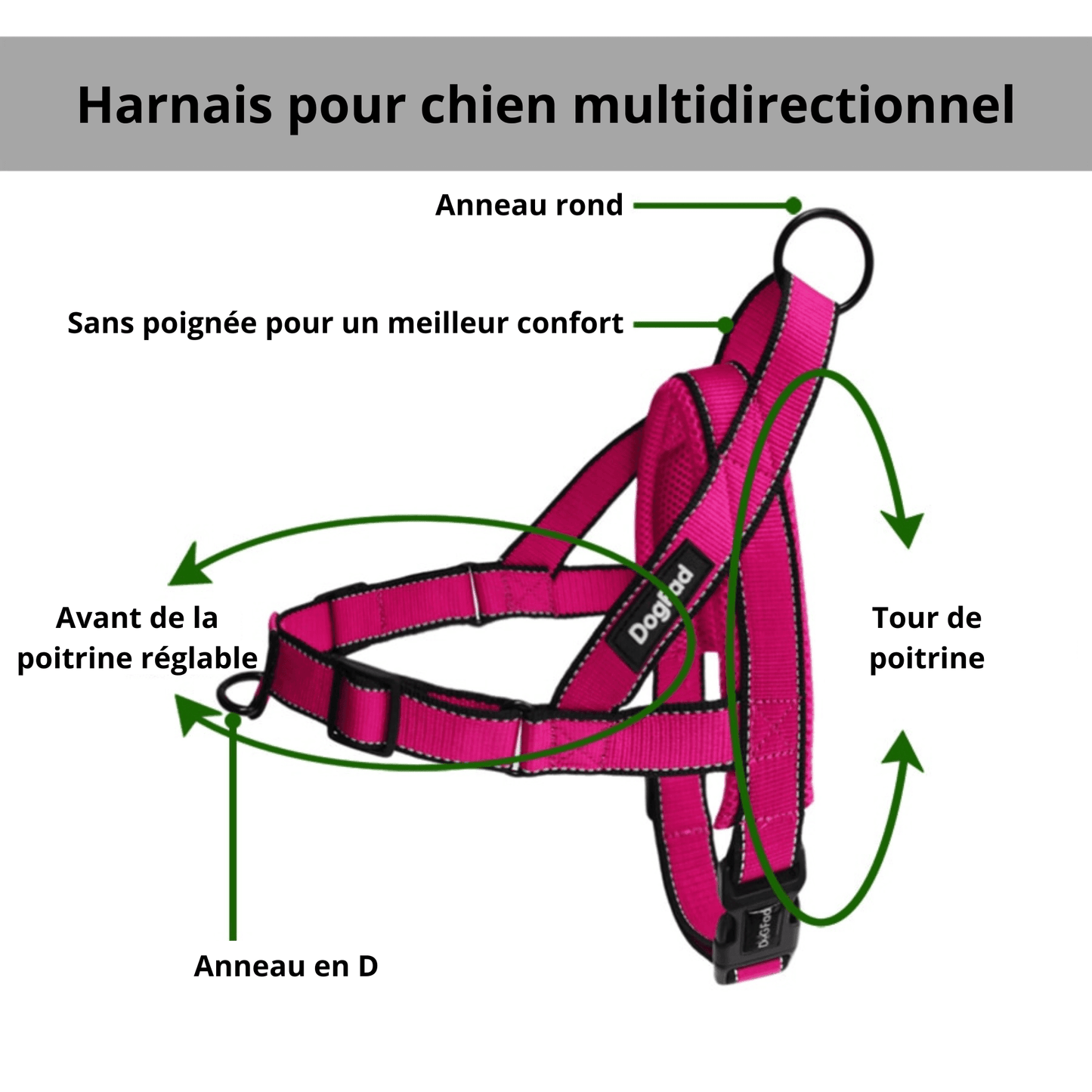 Harnais pour chien | Doggy™ - MyPetsHub