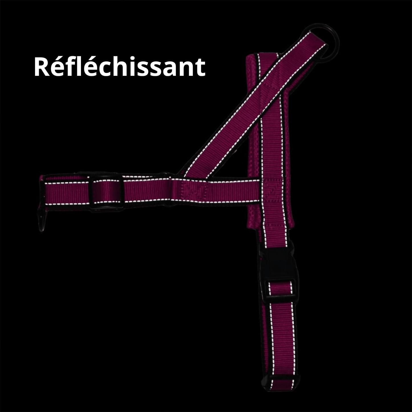Harnais pour chien | Doggy™ - MyPetsHub