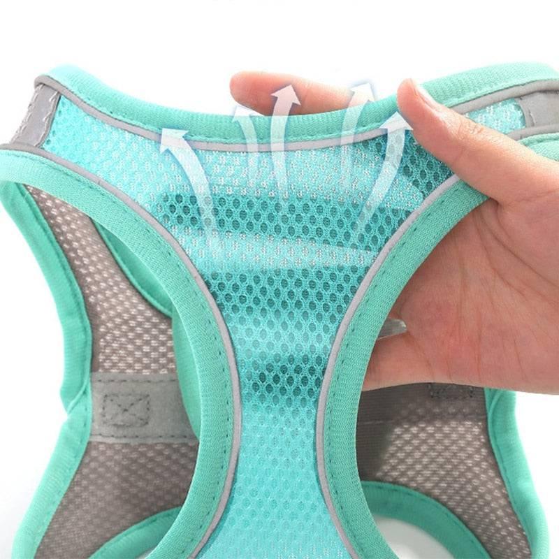Harnais réfléchissant + laisse offerte pour chat | ChAdventure™ - MyPetsHub