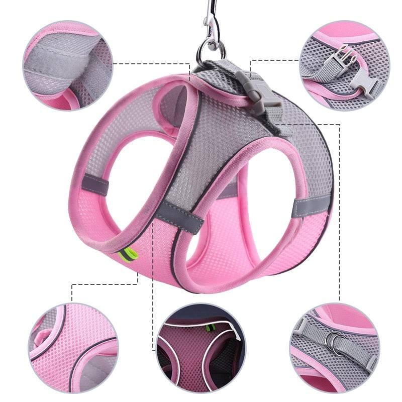 Harnais réfléchissant + laisse offerte pour chat - MyPetsHub