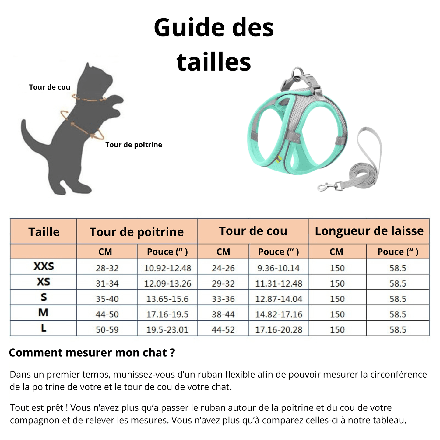 Harnais réfléchissant + laisse offerte pour chat | ChAdventure™ - MyPetsHub